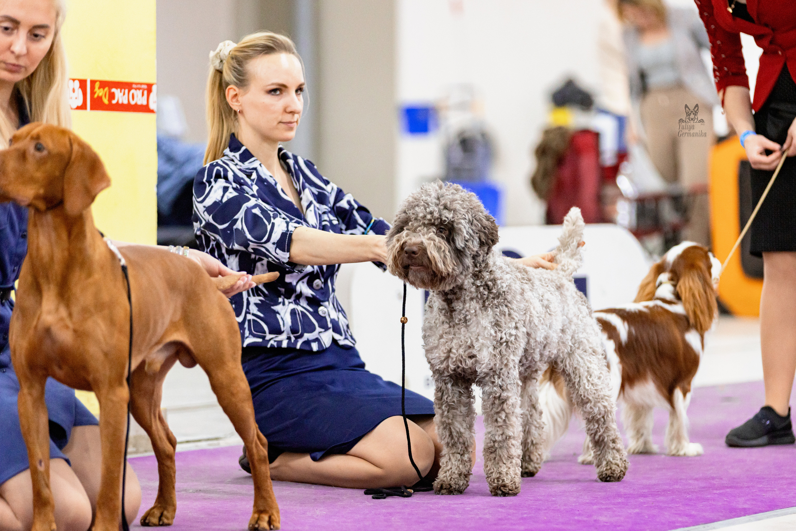 Чайна-Таун 15,21 и 22.01.2023. Фотограф-анималист Юлия Германика