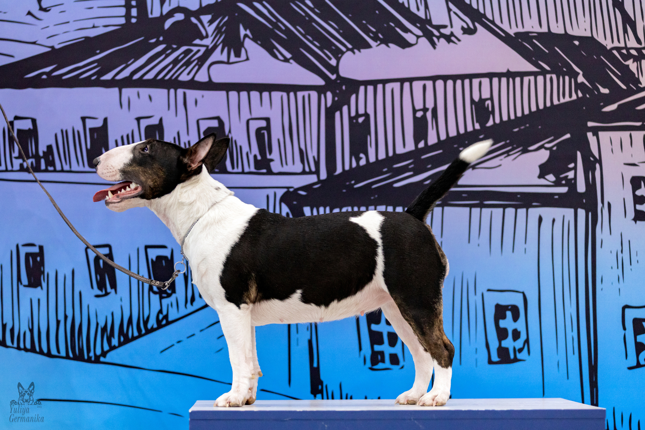 Сабанеевка,Казань 28-29.01.2023. Фотограф-анималист Юлия Германика