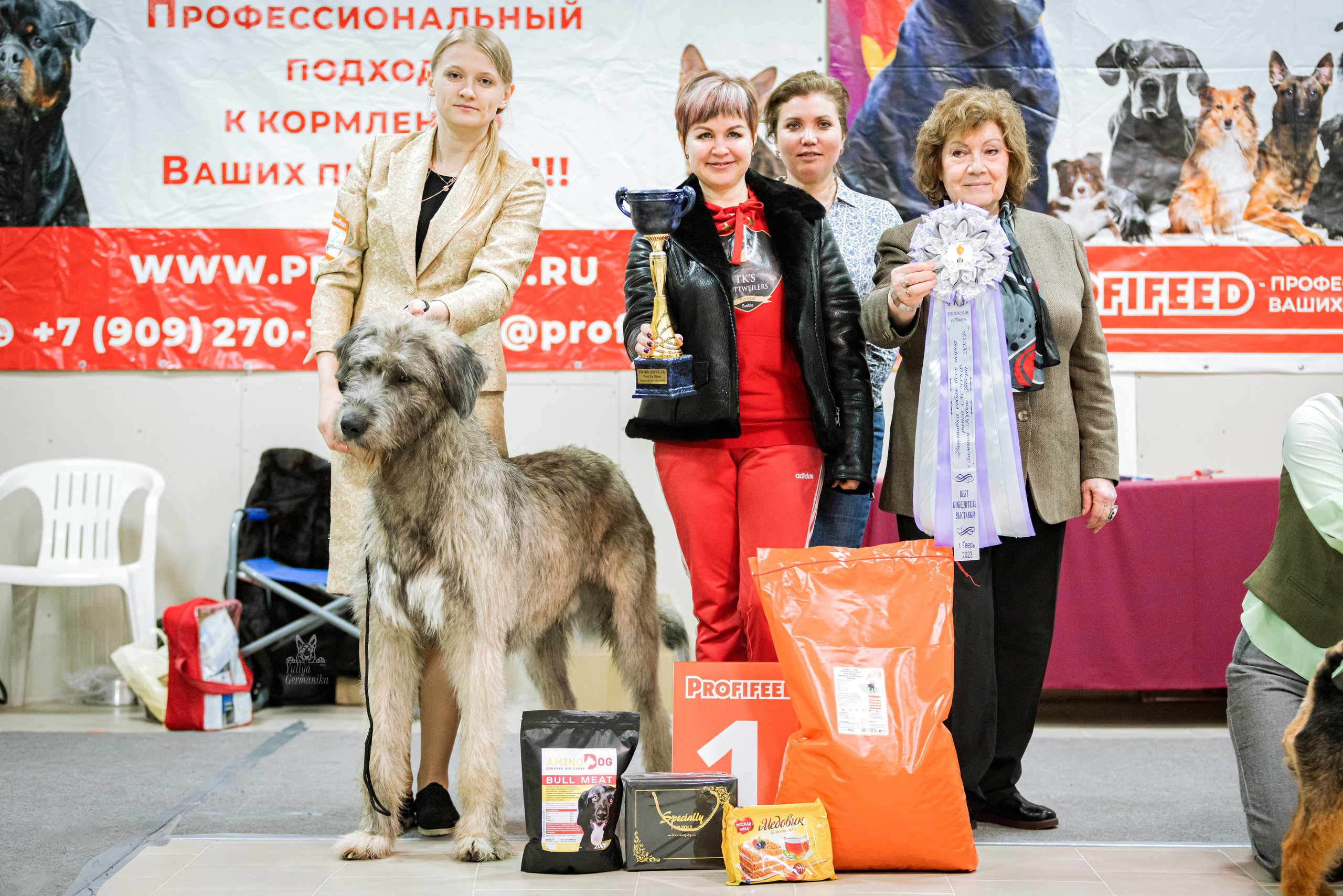 Тверь 19.02.2023. Фотограф-анималист Юлия Германика