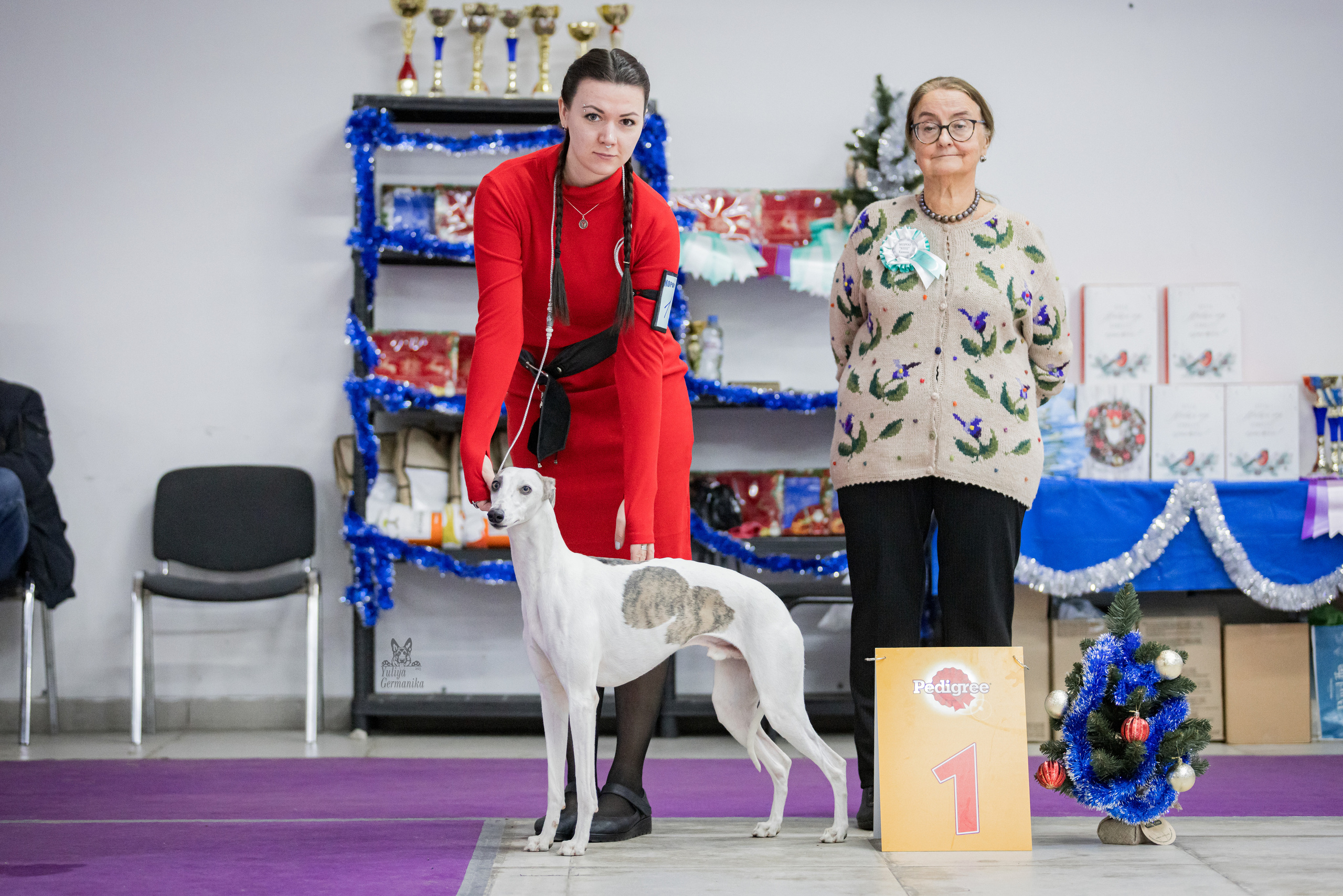 Чайна-Таун 5-8.01.2023. Фотограф-анималист Юлия Германика