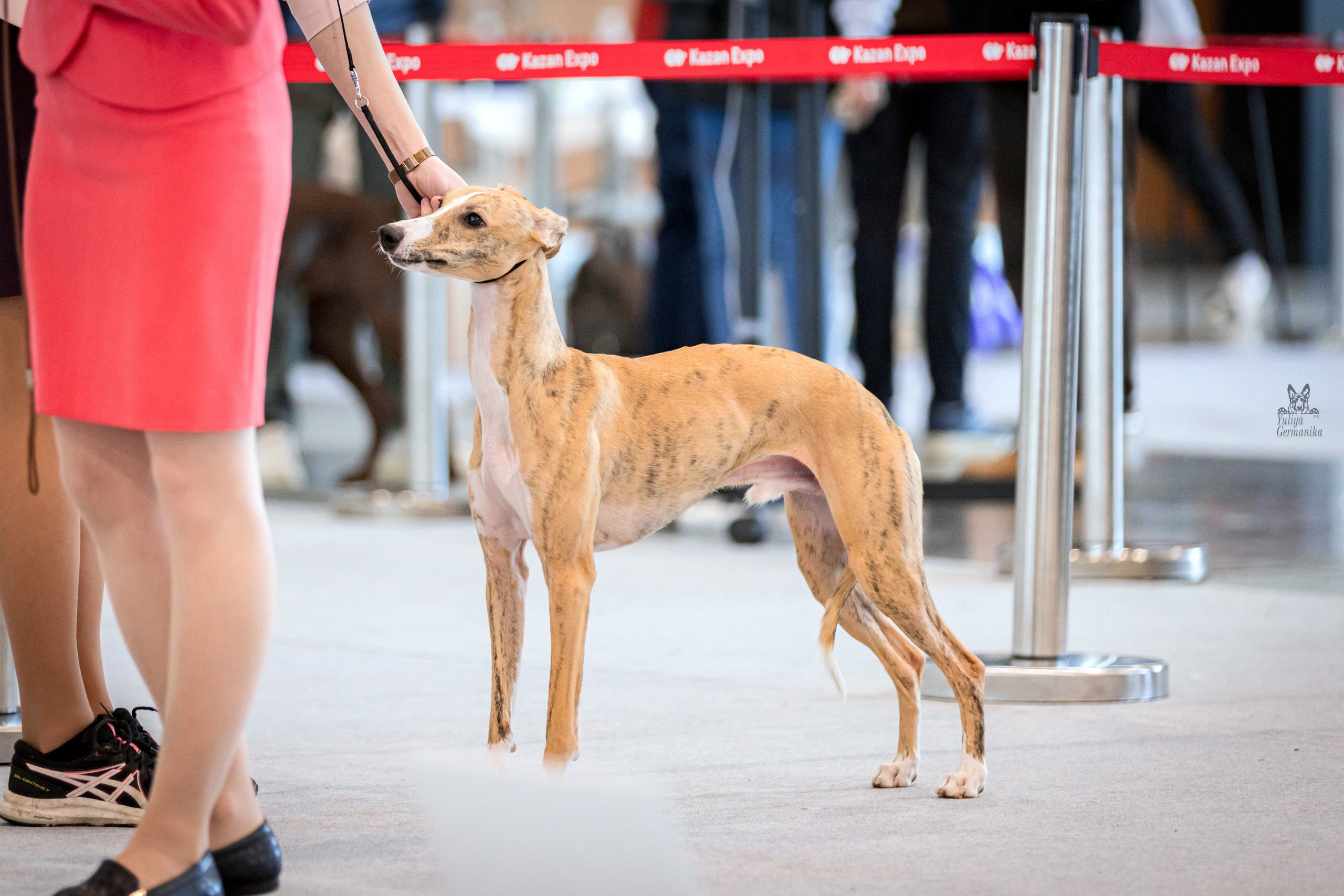 Казань 11.03.2023. Фотограф-анималист Юлия Германика