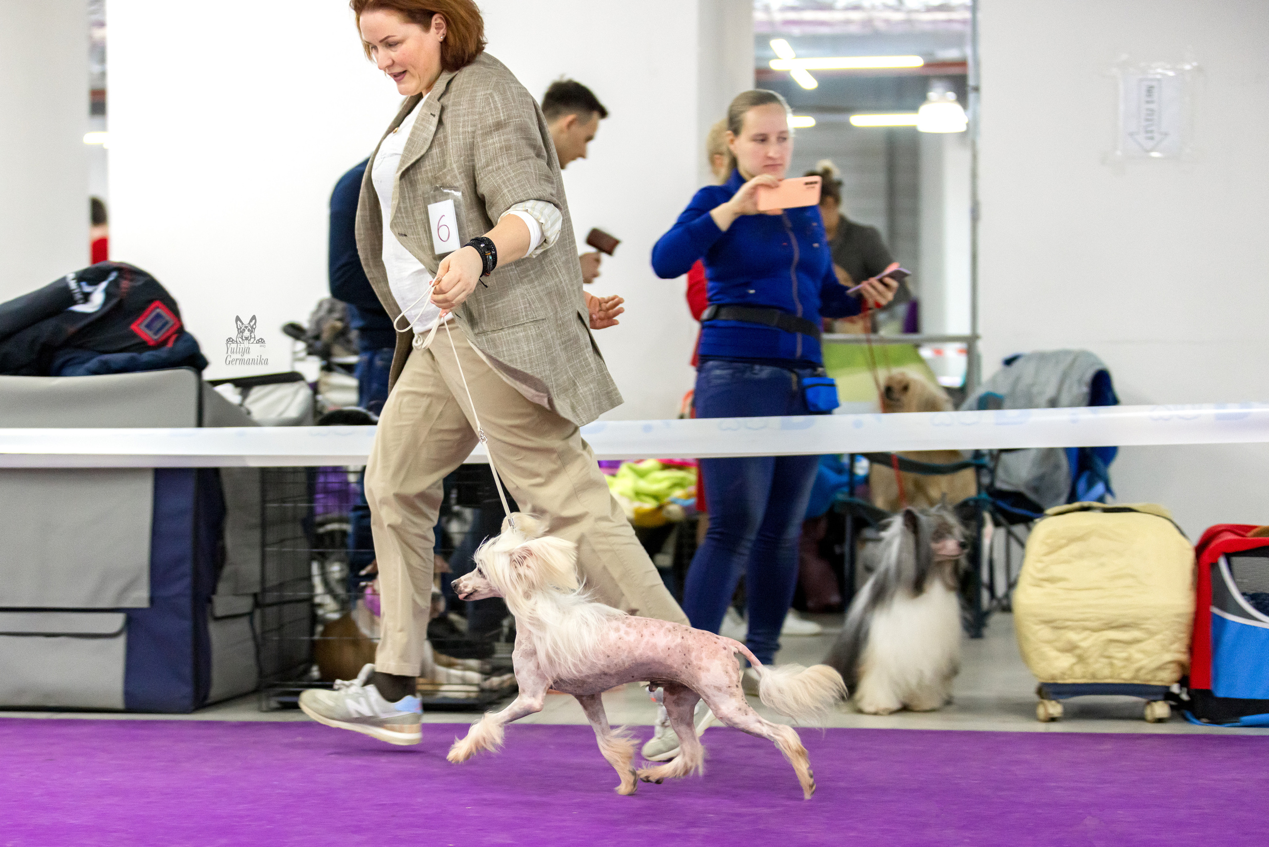 Чайна-Таун 5-8.01.2023. Фотограф-анималист Юлия Германика