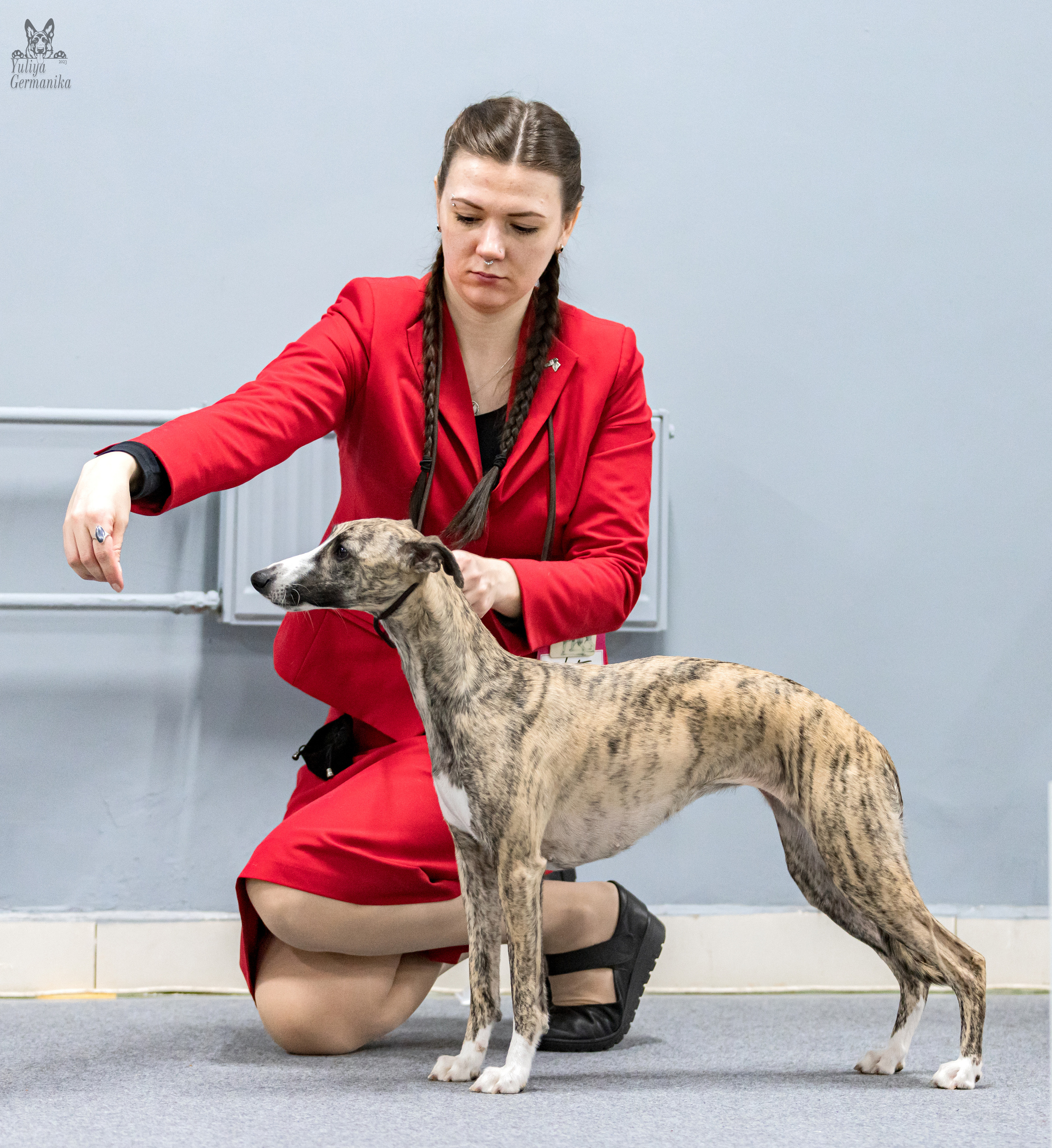 Сфера 5.03.2023. Фотограф-анималист Юлия Германика