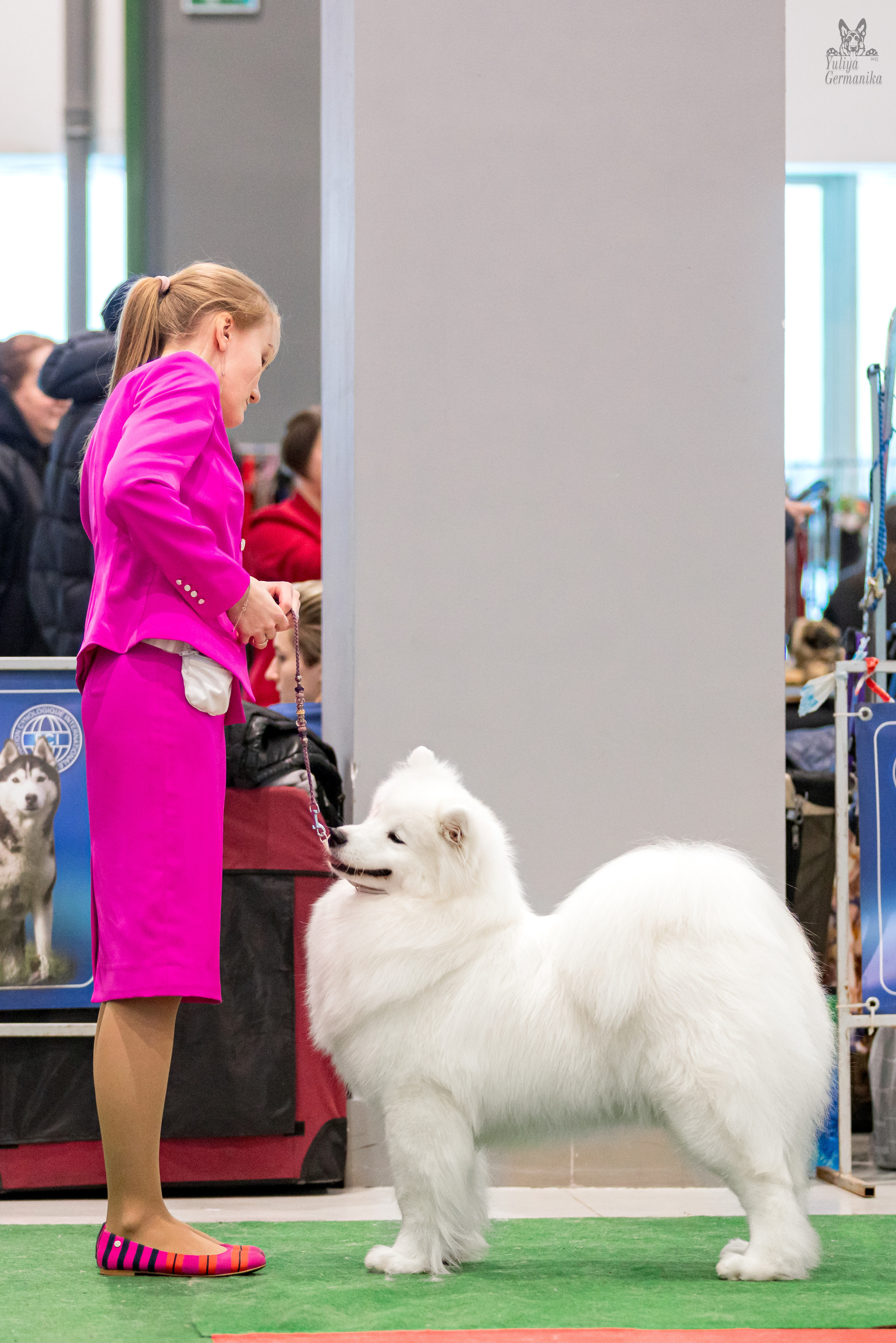 Минск 25-26.02.2023. Фотограф-анималист Юлия Германика