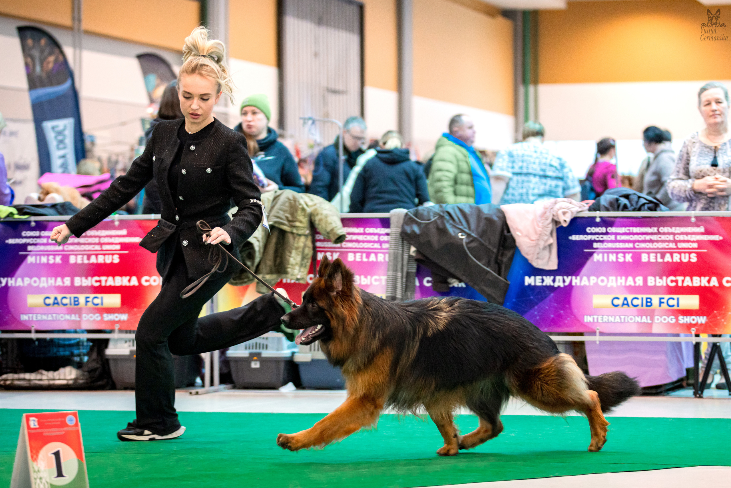 Минск 25-26.02.2023. Фотограф-анималист Юлия Германика