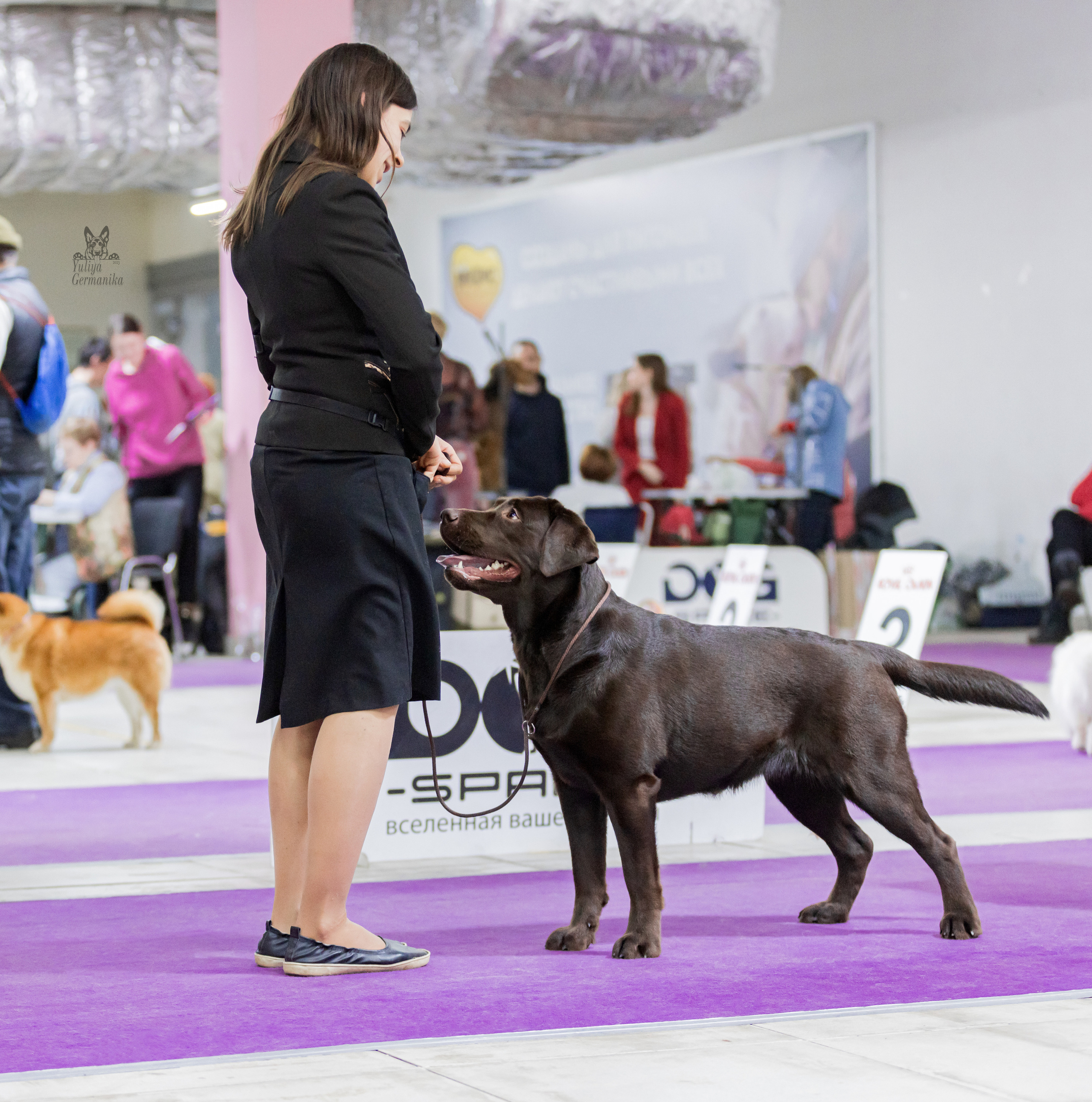 Чайна-Таун 4-5.02.2023. Фотограф-анималист Юлия Германика