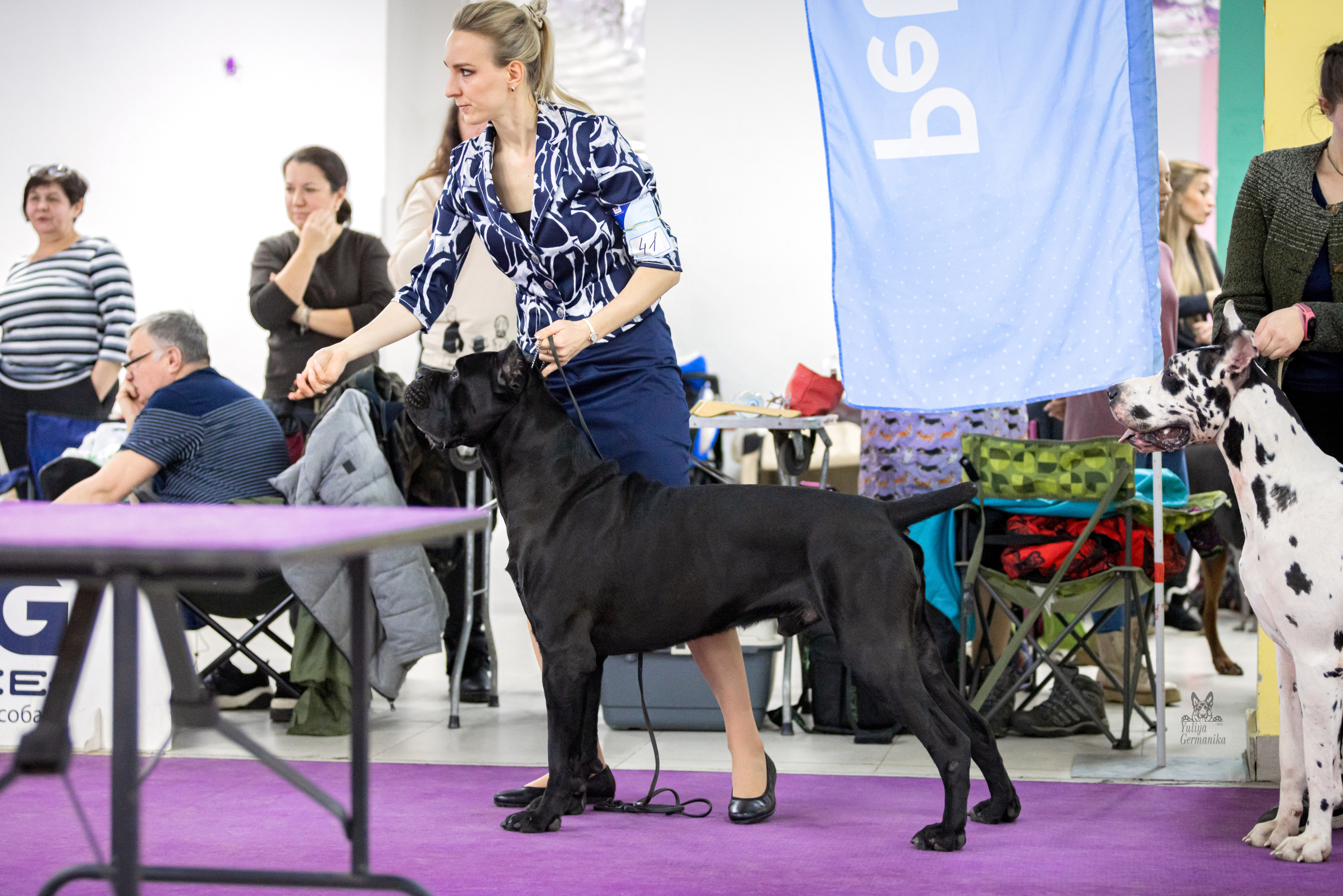 Чайна-Таун 15,21 и 22.01.2023. Фотограф-анималист Юлия Германика