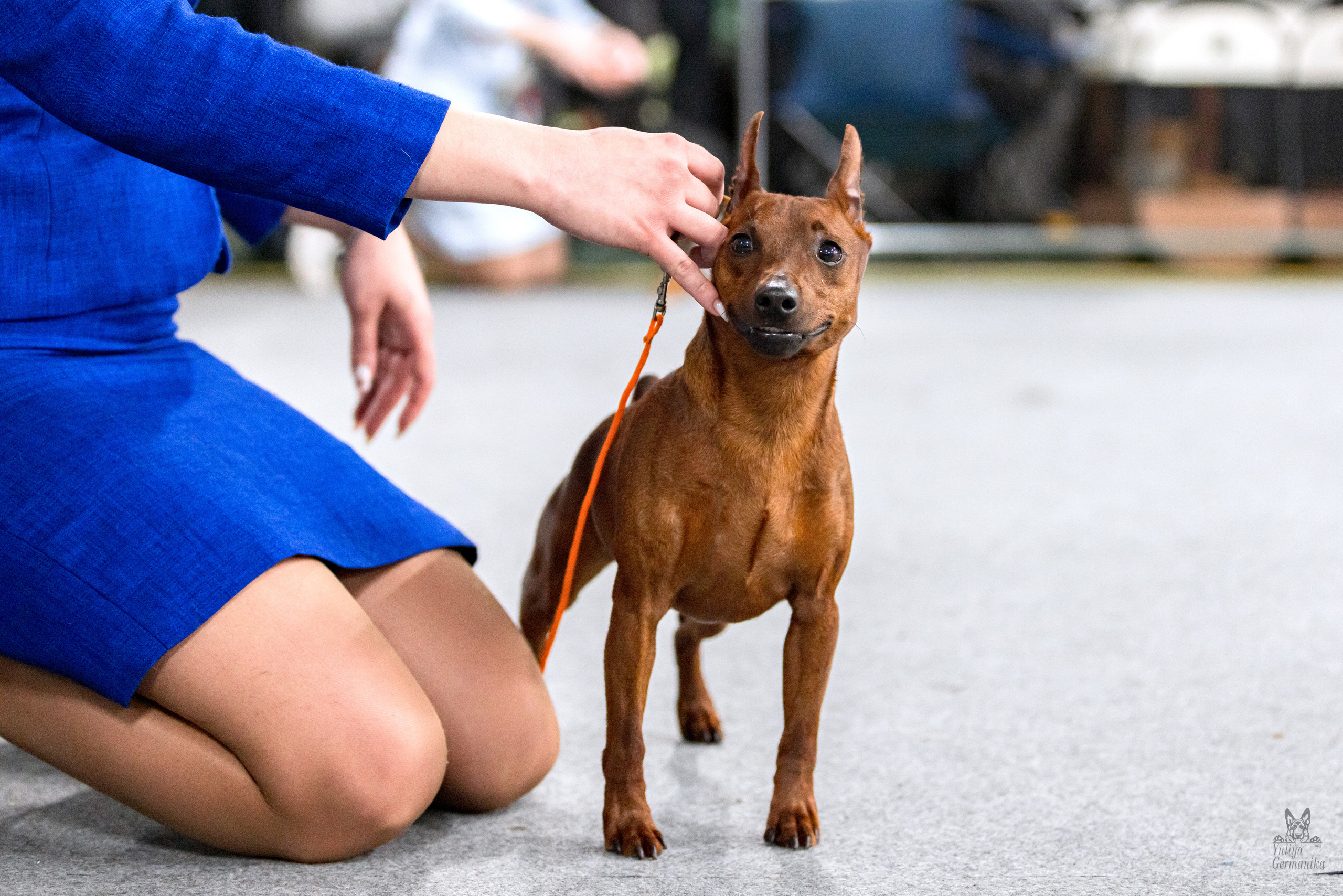 Сфера 5.03.2023. Фотограф-анималист Юлия Германика