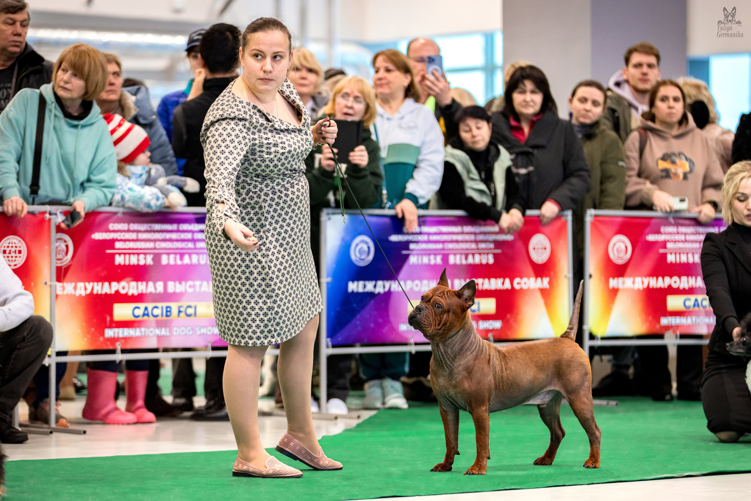 Минск 25-26.02.2023. Фотограф-анималист Юлия Германика