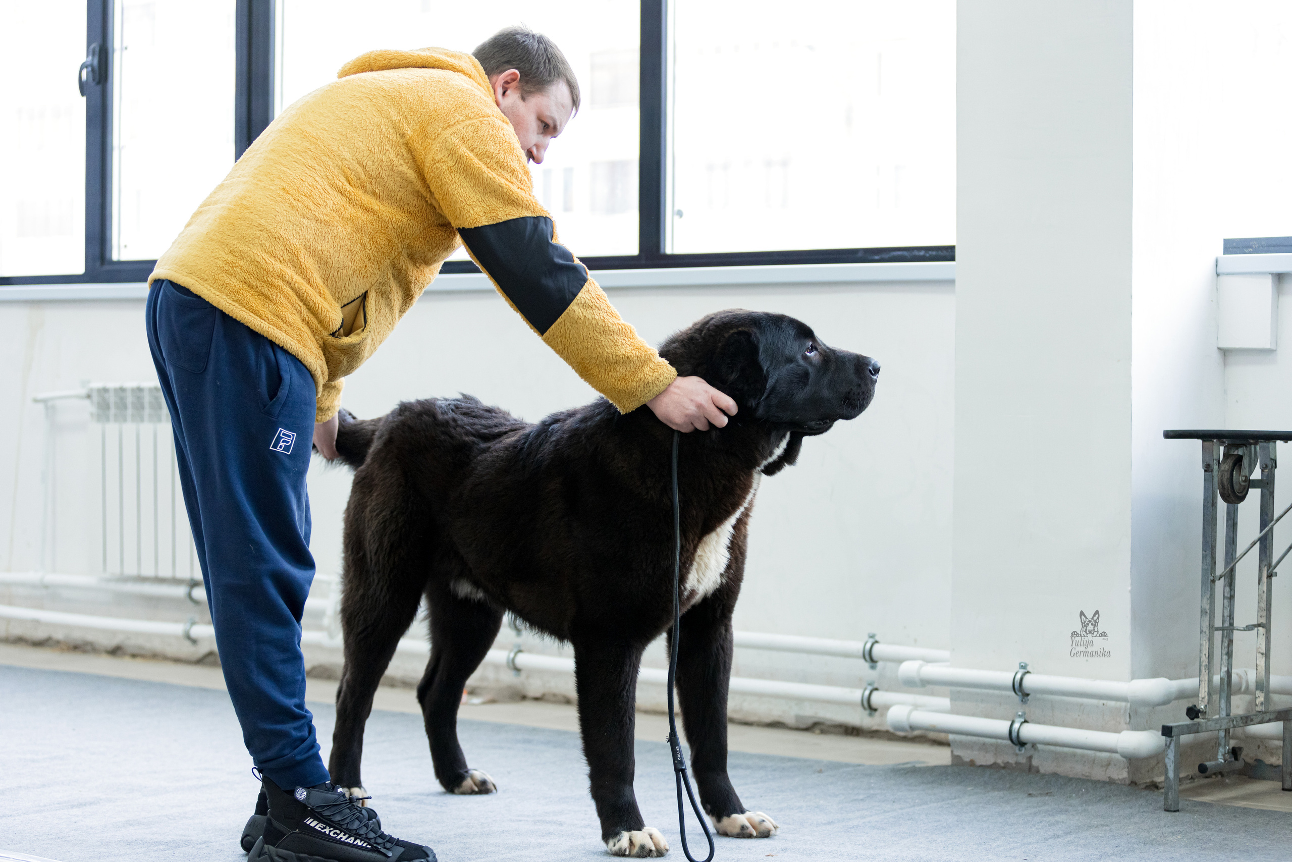 Тверь 19.02.2023. Фотограф-анималист Юлия Германика