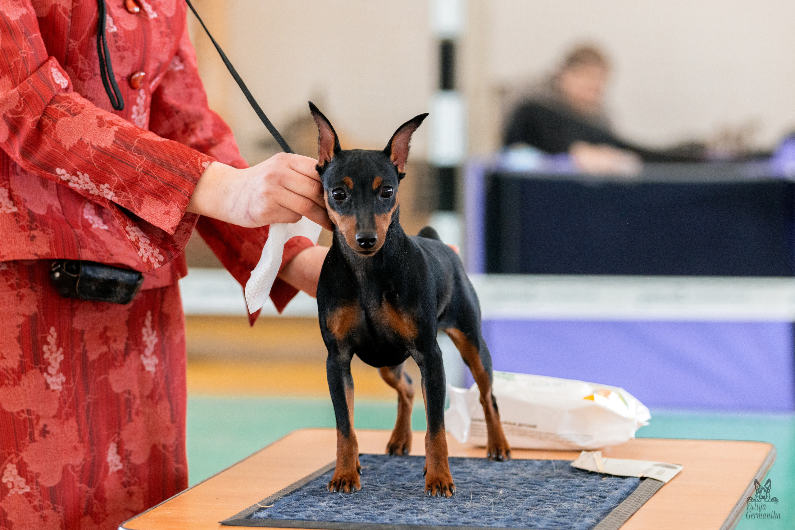 Тверь 19.03.2023. Фотограф-анималист Юлия Германика