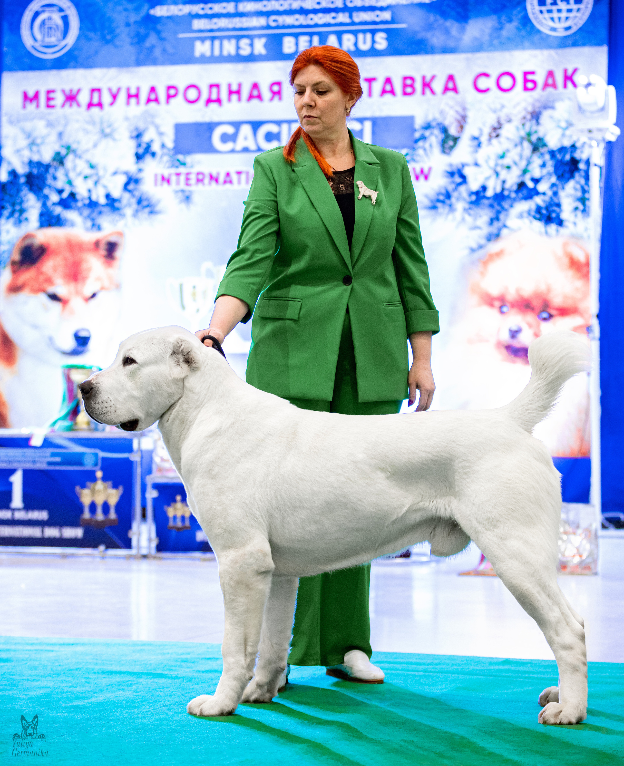 Минск 25-26.02.2023. Фотограф-анималист Юлия Германика