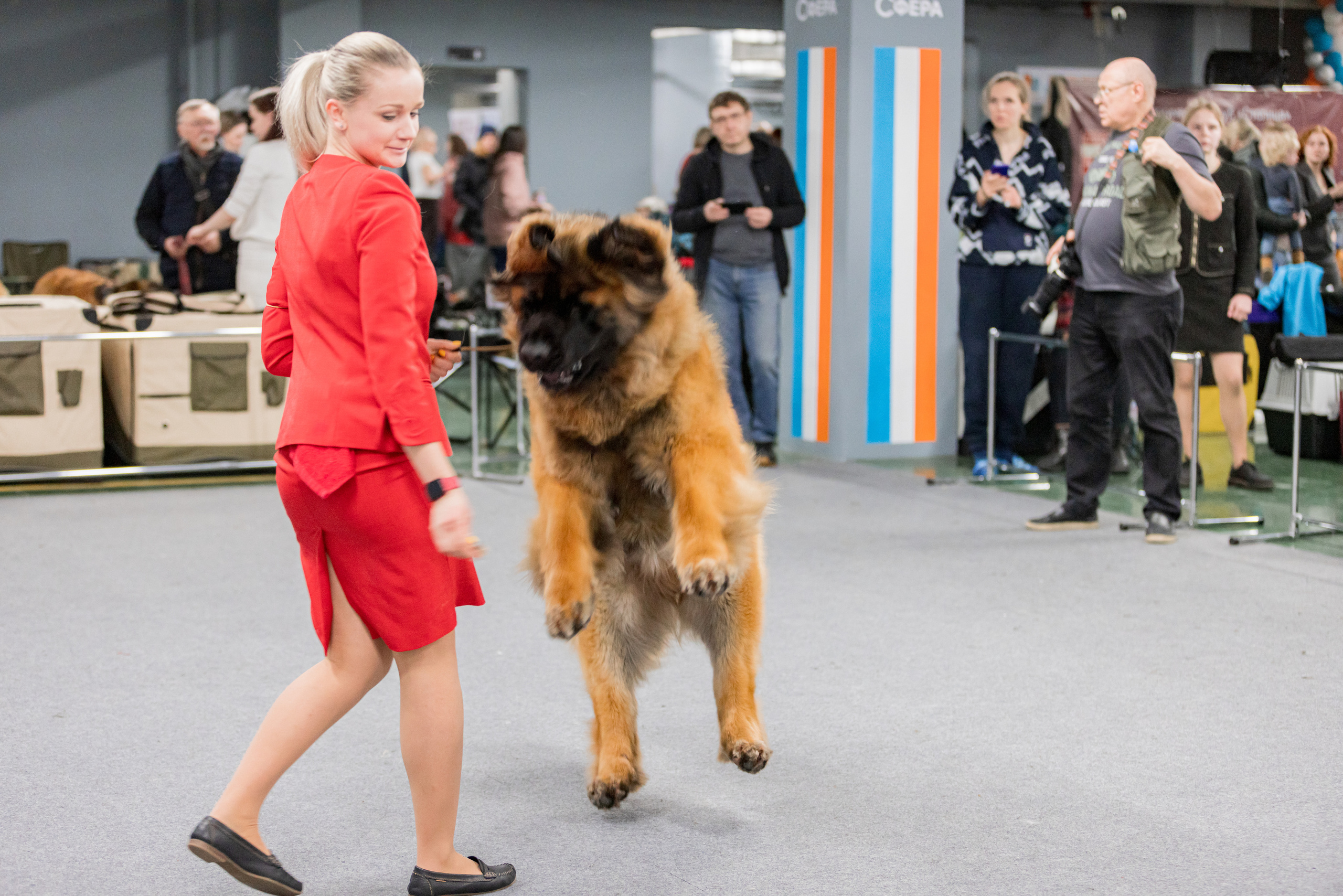 Сфера 5.03.2023. Фотограф-анималист Юлия Германика