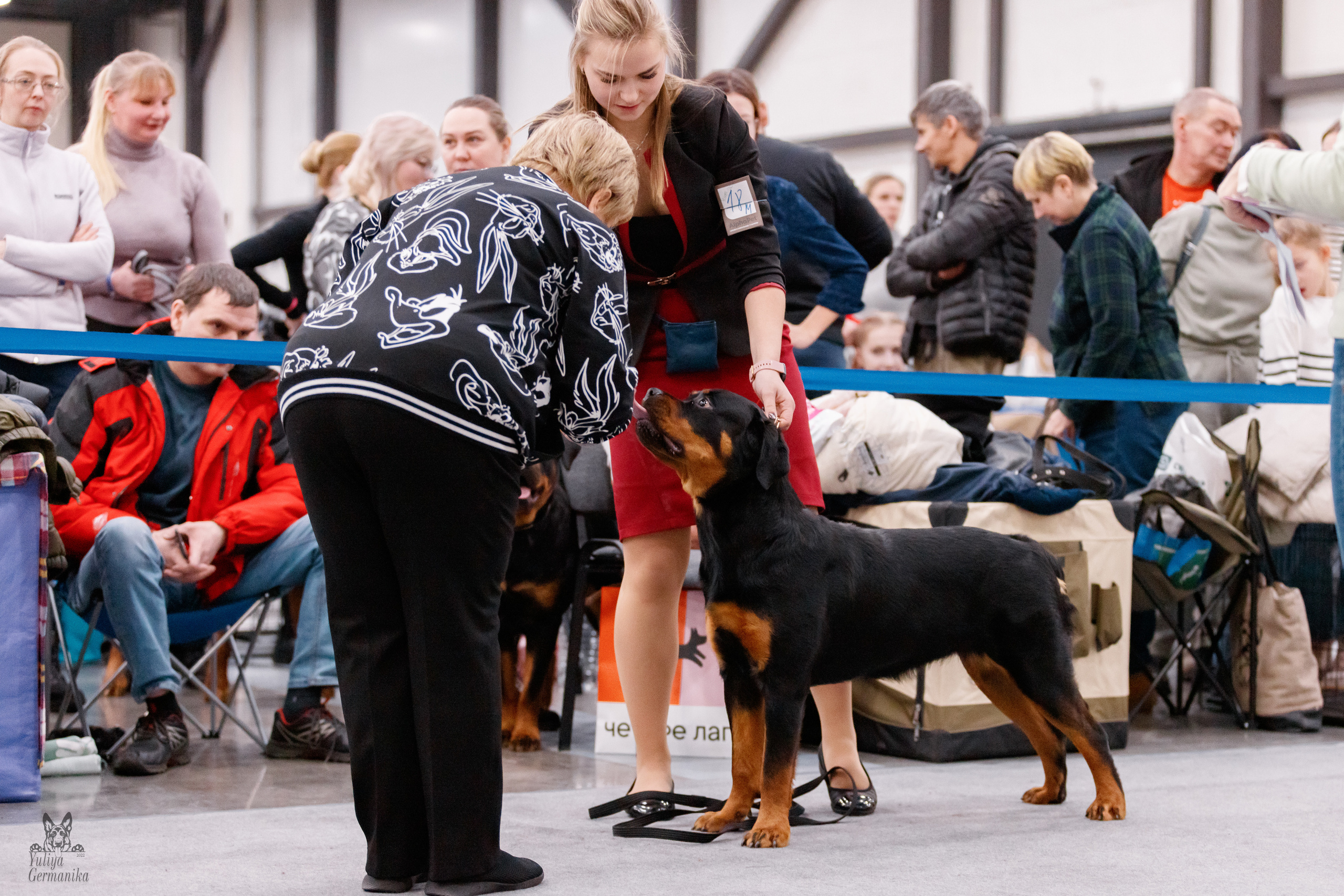 Питер 17-18.12.2022. Фотограф-анималист Юлия Германика