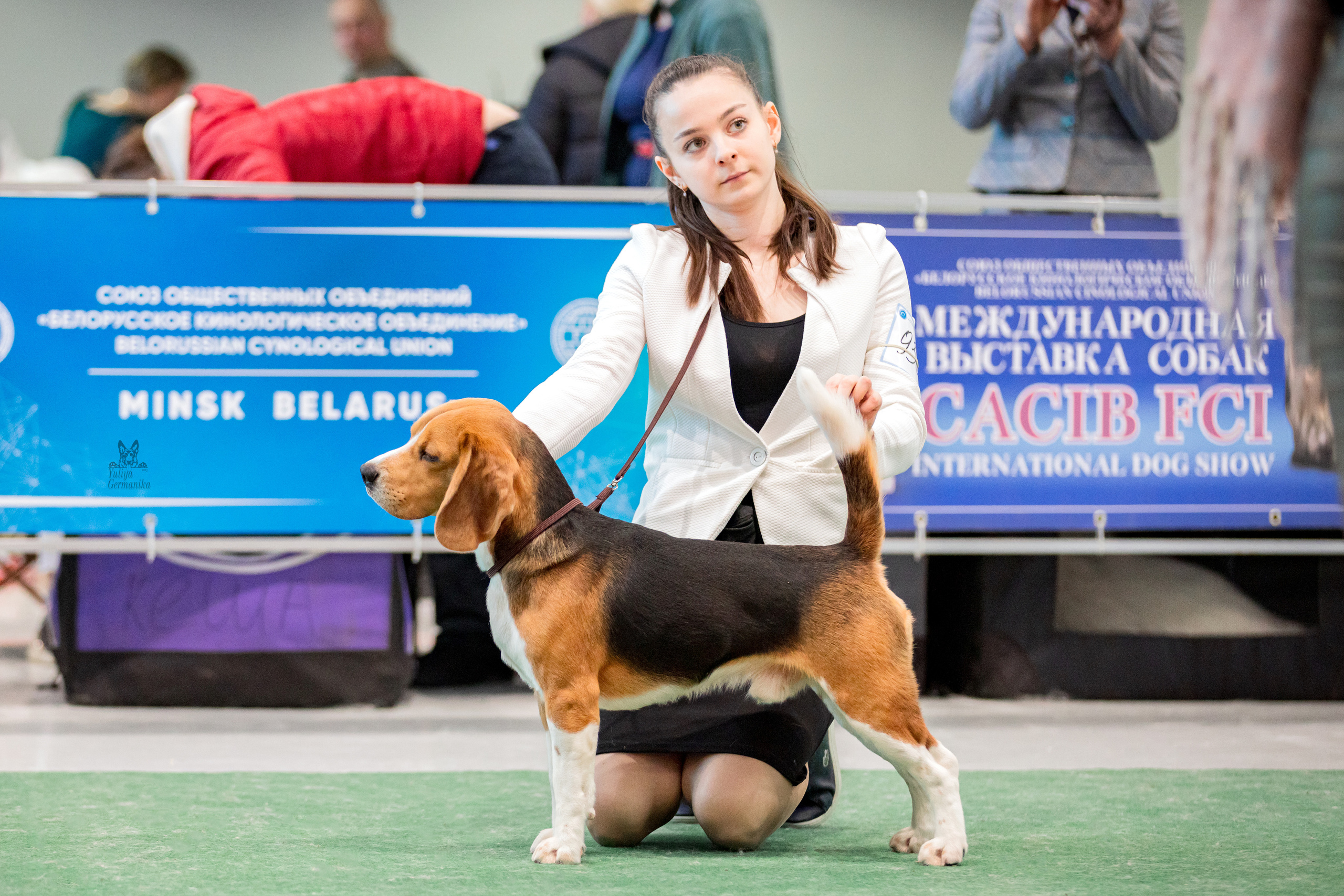 Минск 25-26.02.2023. Фотограф-анималист Юлия Германика