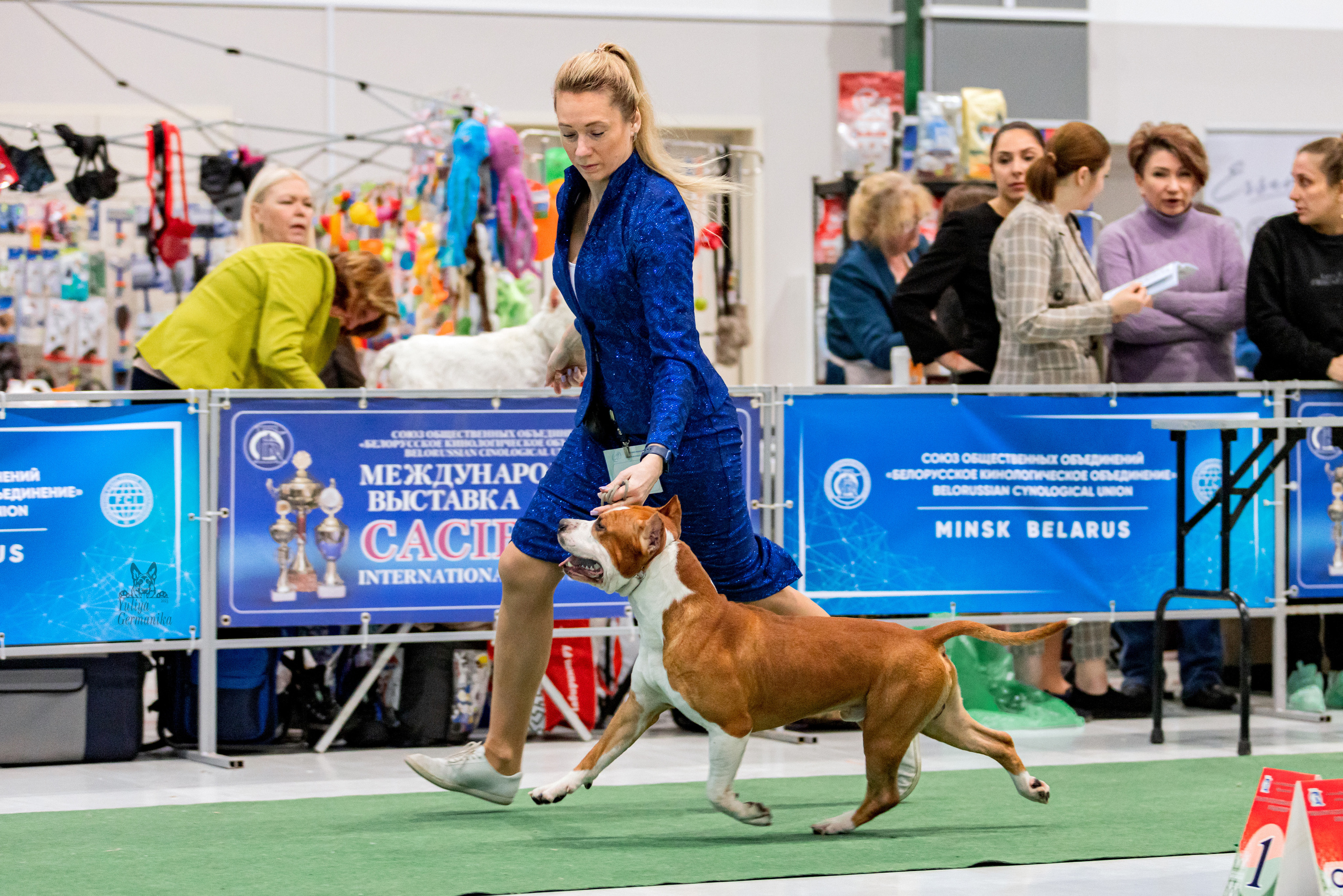 Минск 25-26.02.2023. Фотограф-анималист Юлия Германика