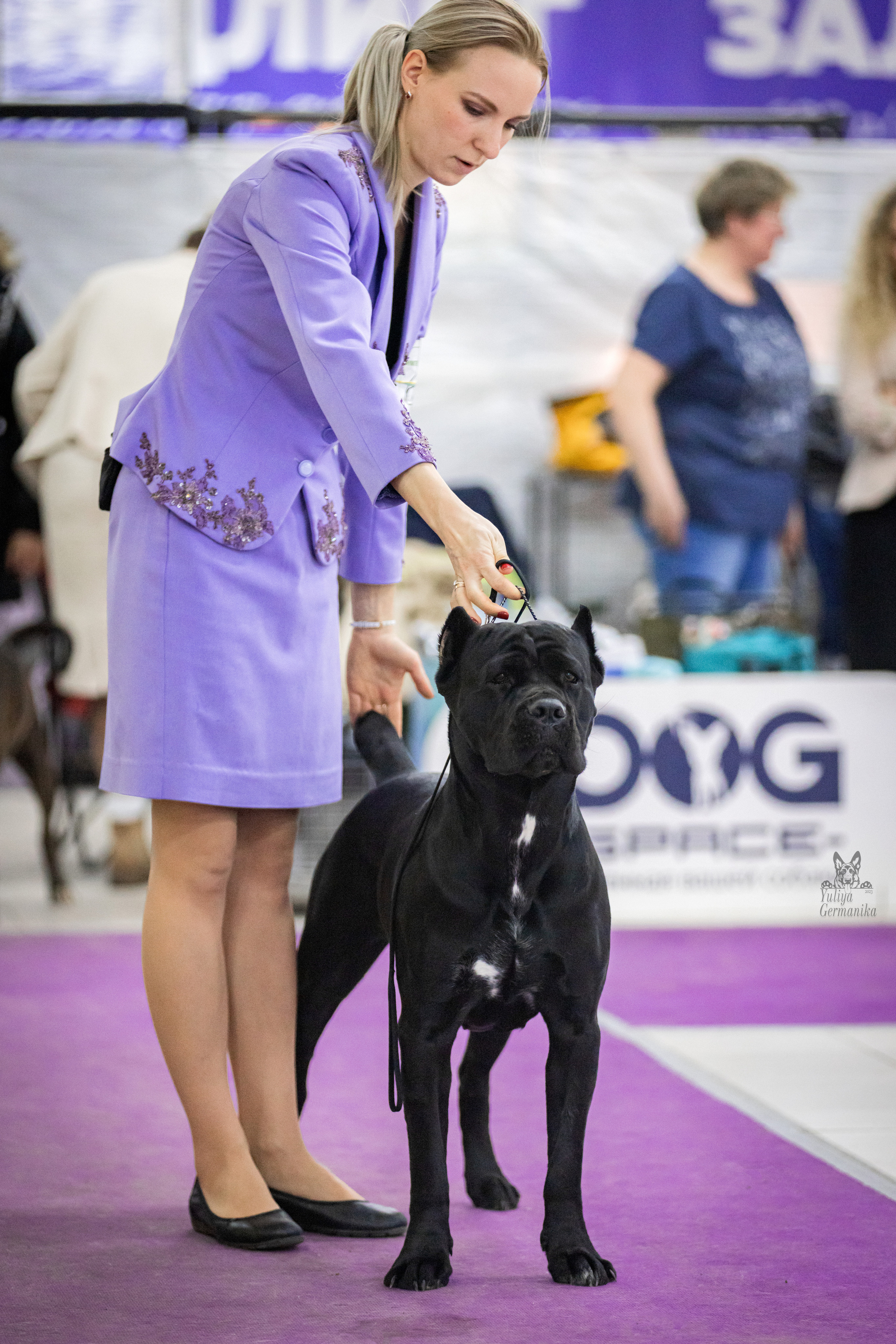 Чайна-Таун 4-5.02.2023. Фотограф-анималист Юлия Германика