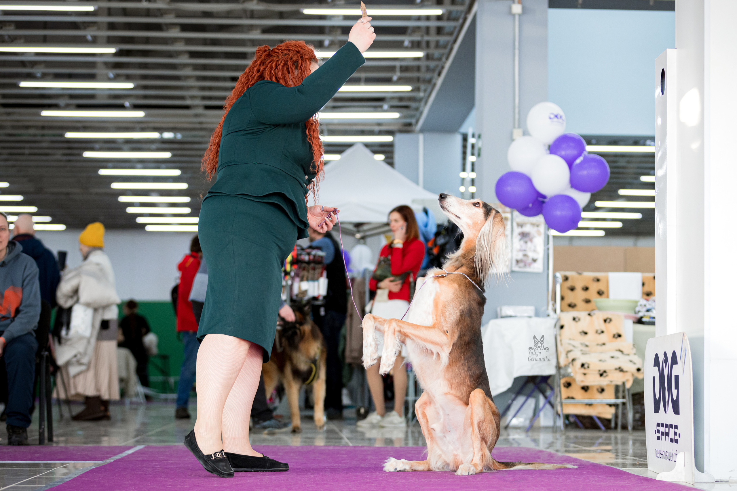 Можайский двор 11-12.02.2023. Фотограф-анималист Юлия Германика