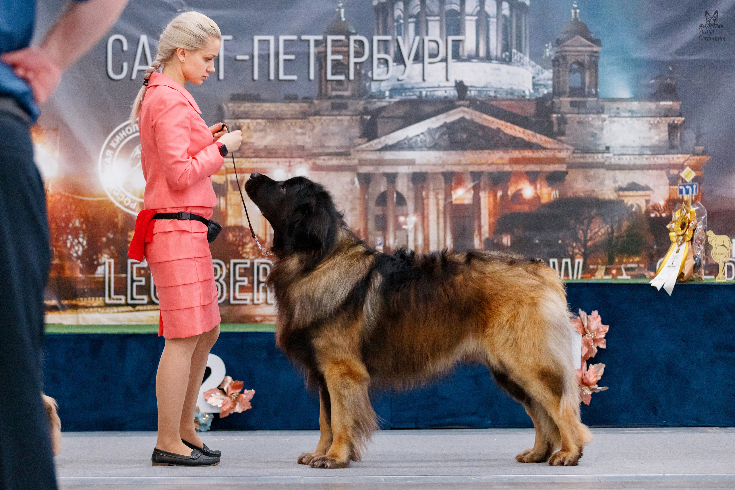 Питер 17-18.12.2022. Фотограф-анималист Юлия Германика