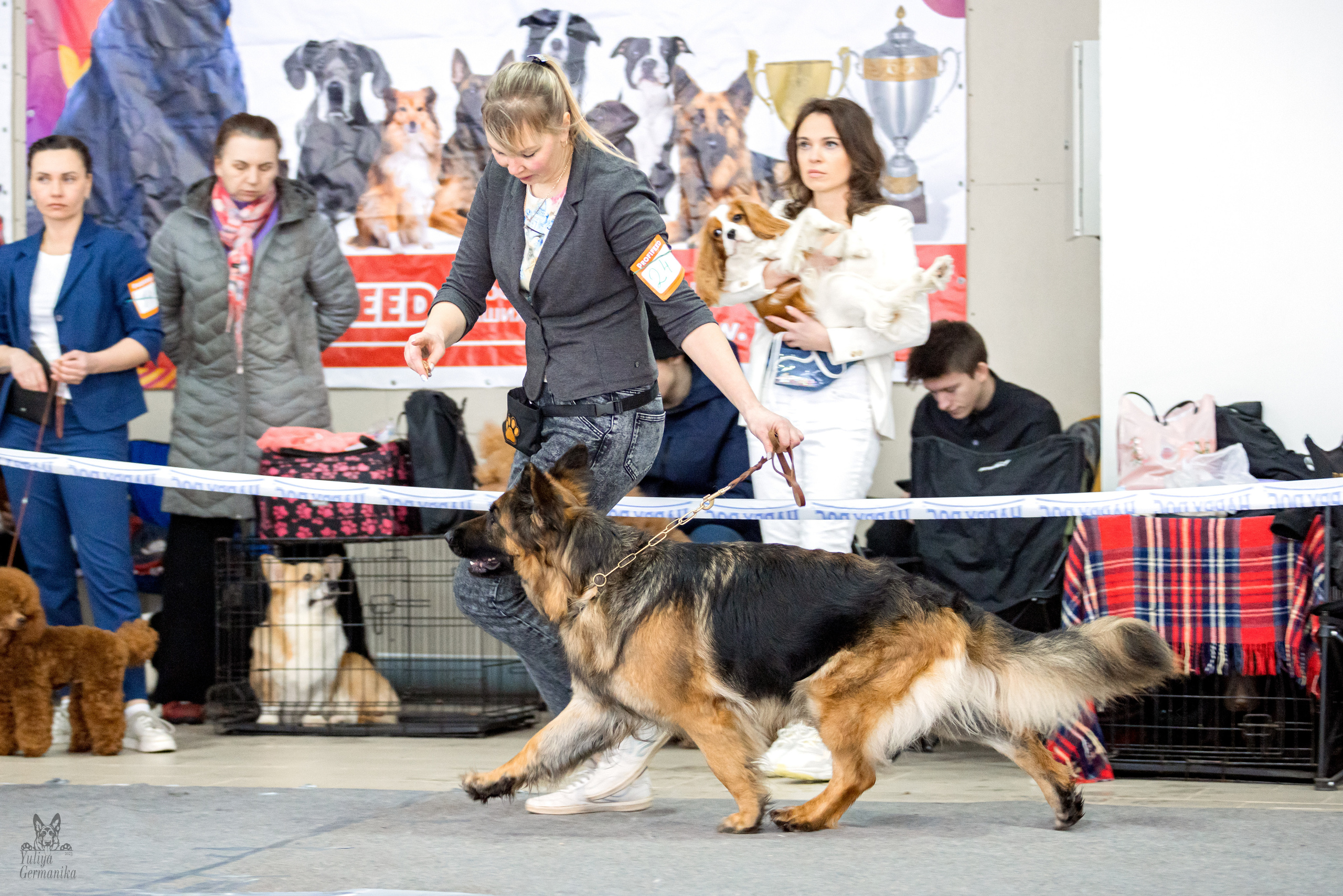 Тверь 19.02.2023. Фотограф-анималист Юлия Германика