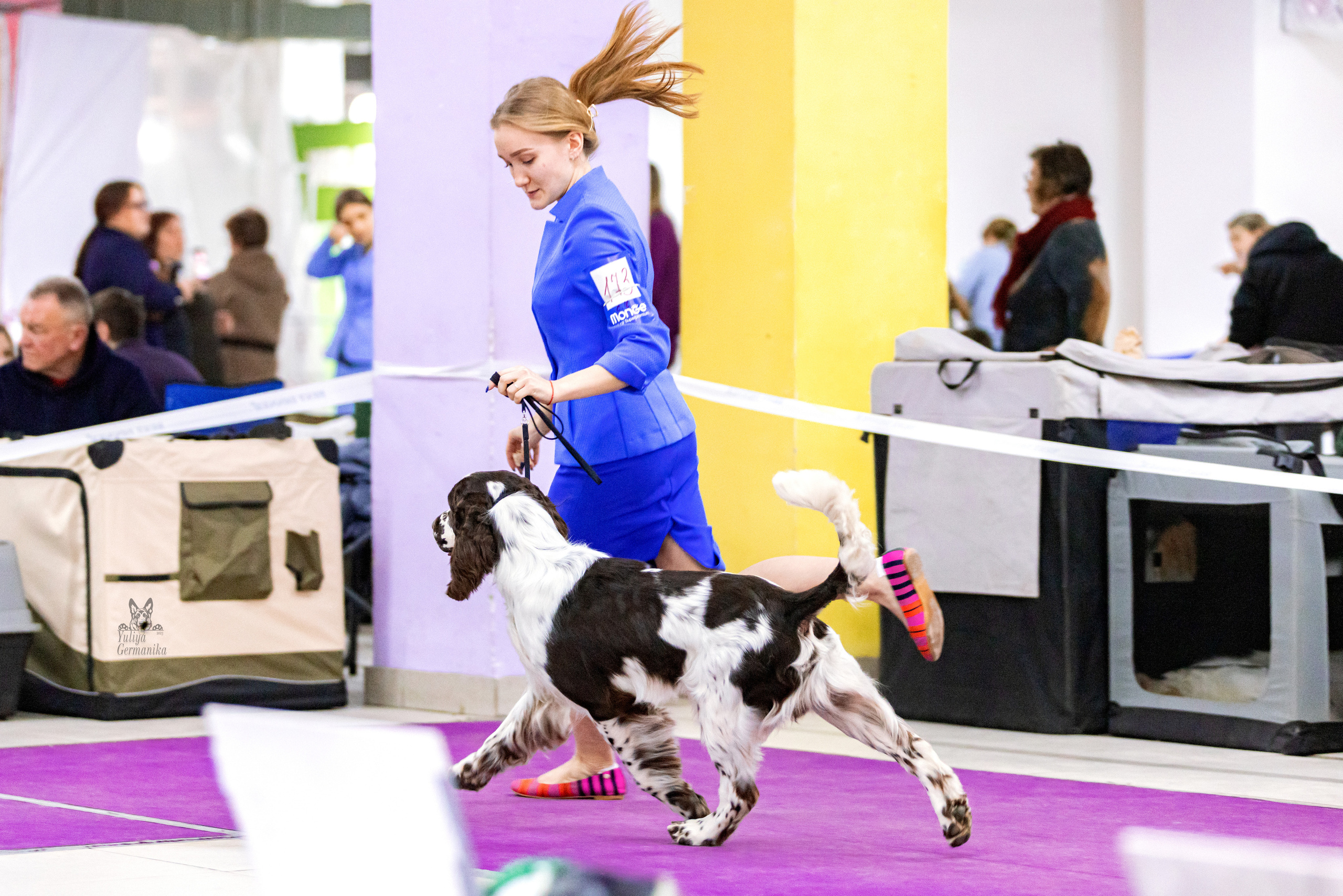 Чайна-Таун 15,21 и 22.01.2023. Фотограф-анималист Юлия Германика