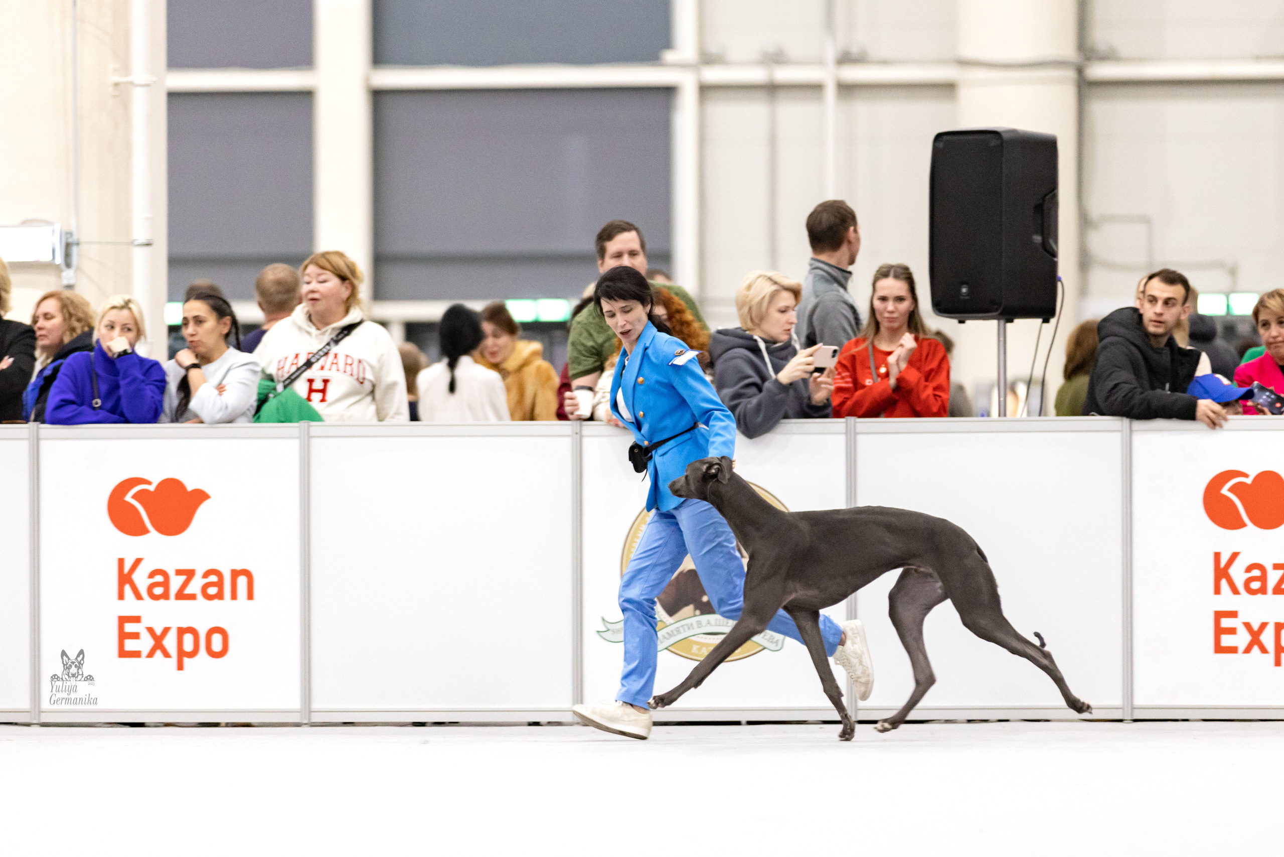 Сабанеевка,Казань 28-29.01.2023. Фотограф-анималист Юлия Германика