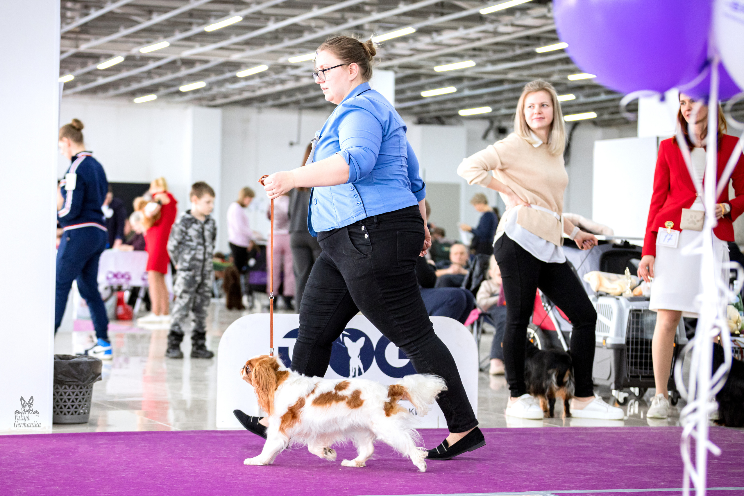 Можайский двор 11-12.02.2023. Фотограф-анималист Юлия Германика