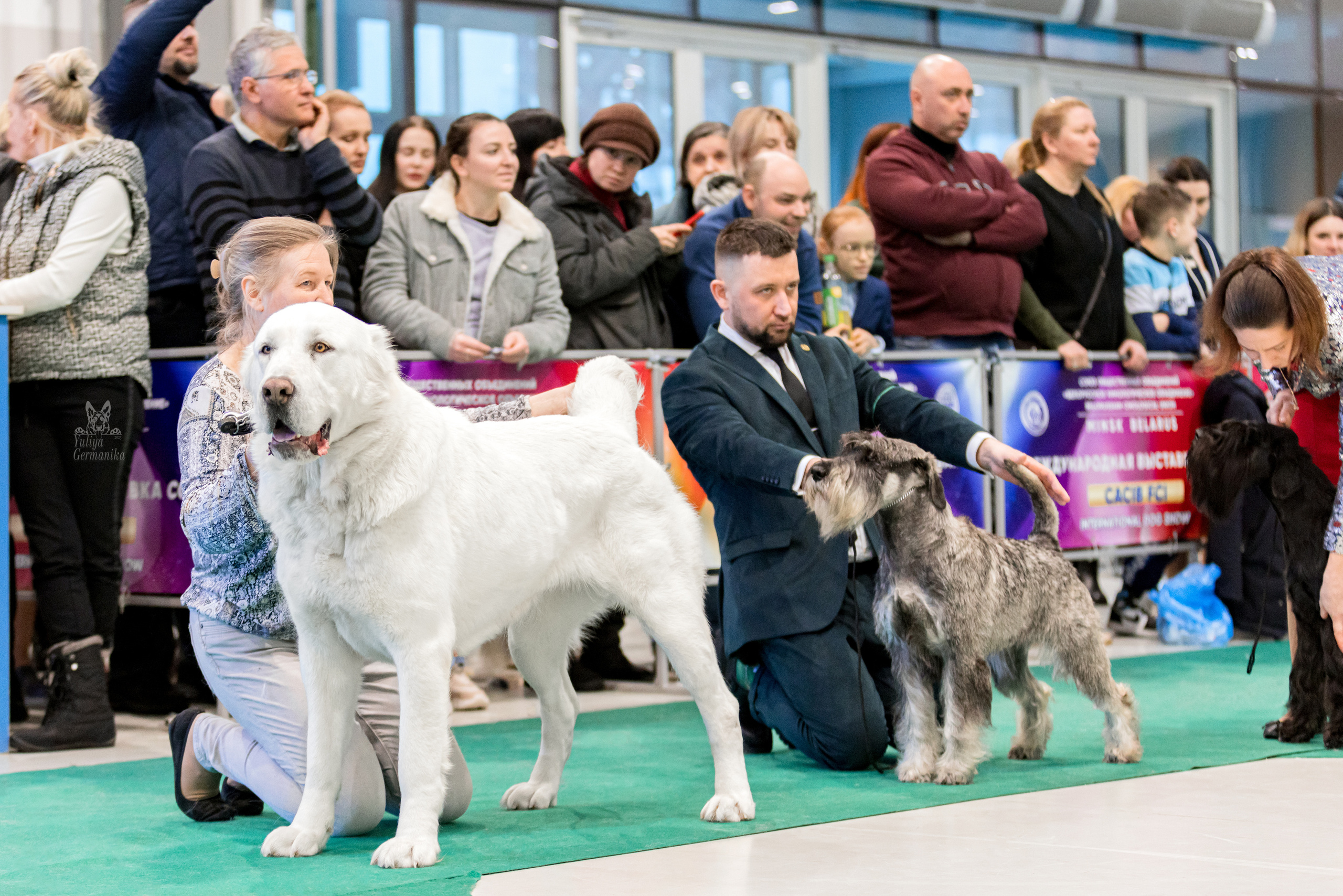 Минск 25-26.02.2023. Фотограф-анималист Юлия Германика