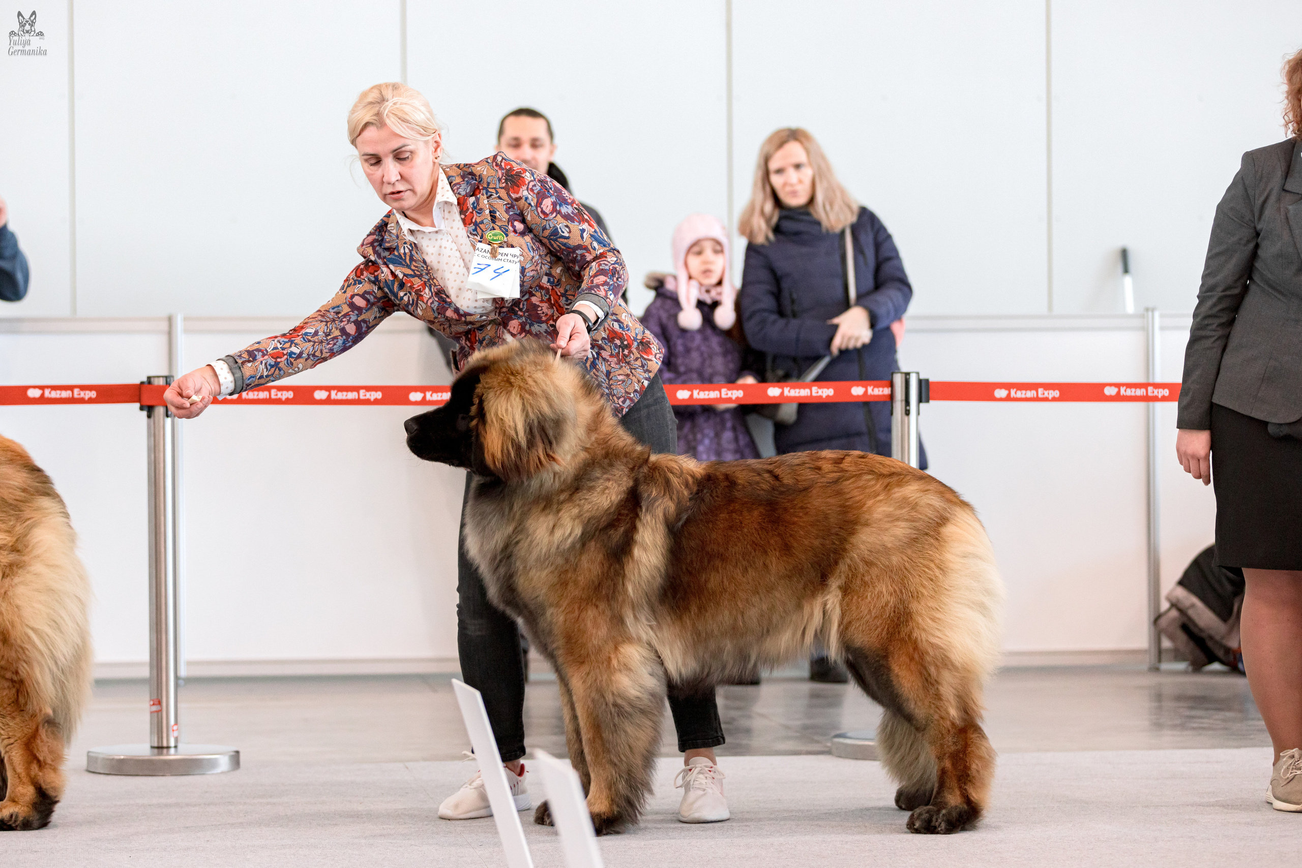 Казань 11.03.2023. Фотограф-анималист Юлия Германика