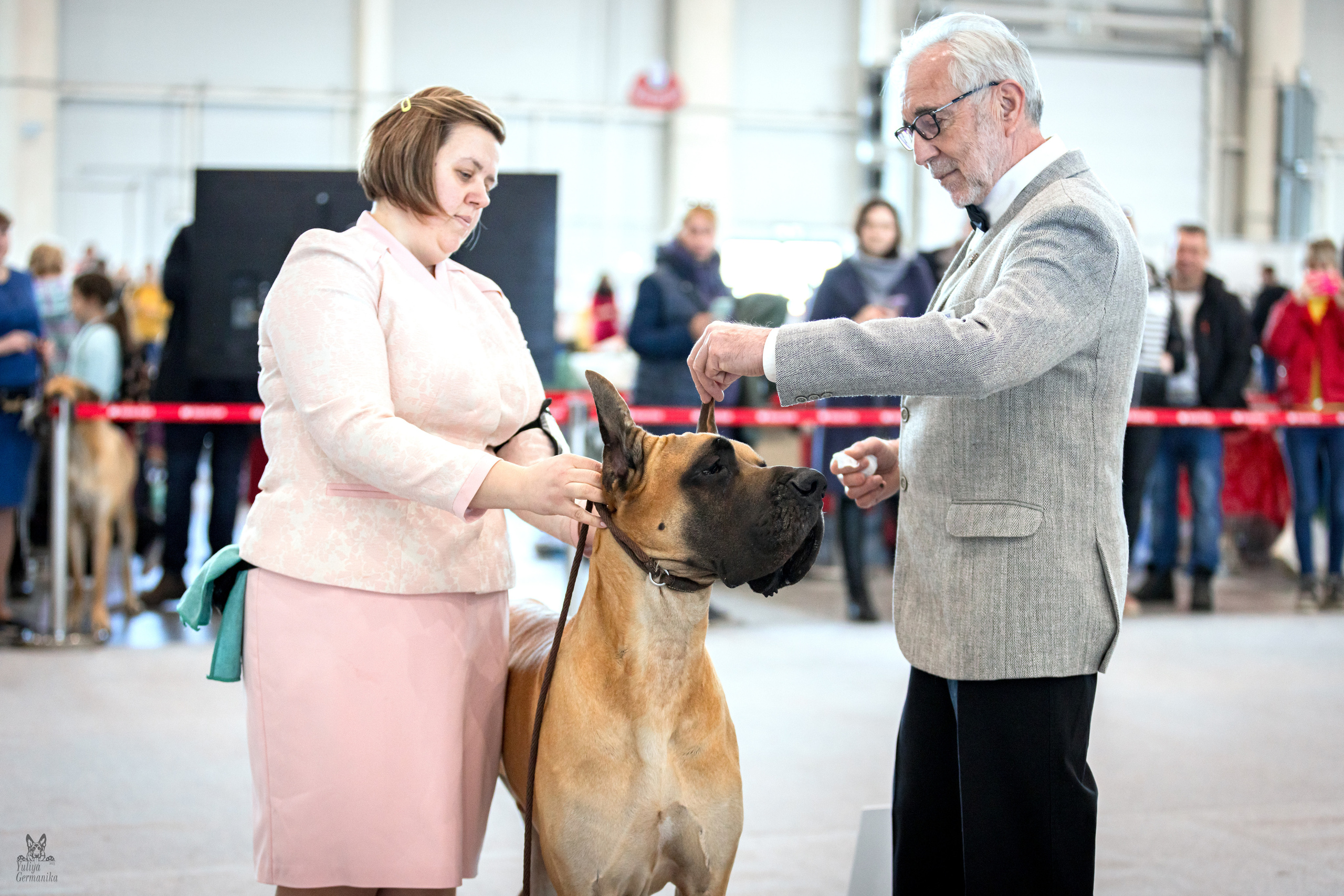 Казань 11.03.2023. Фотограф-анималист Юлия Германика