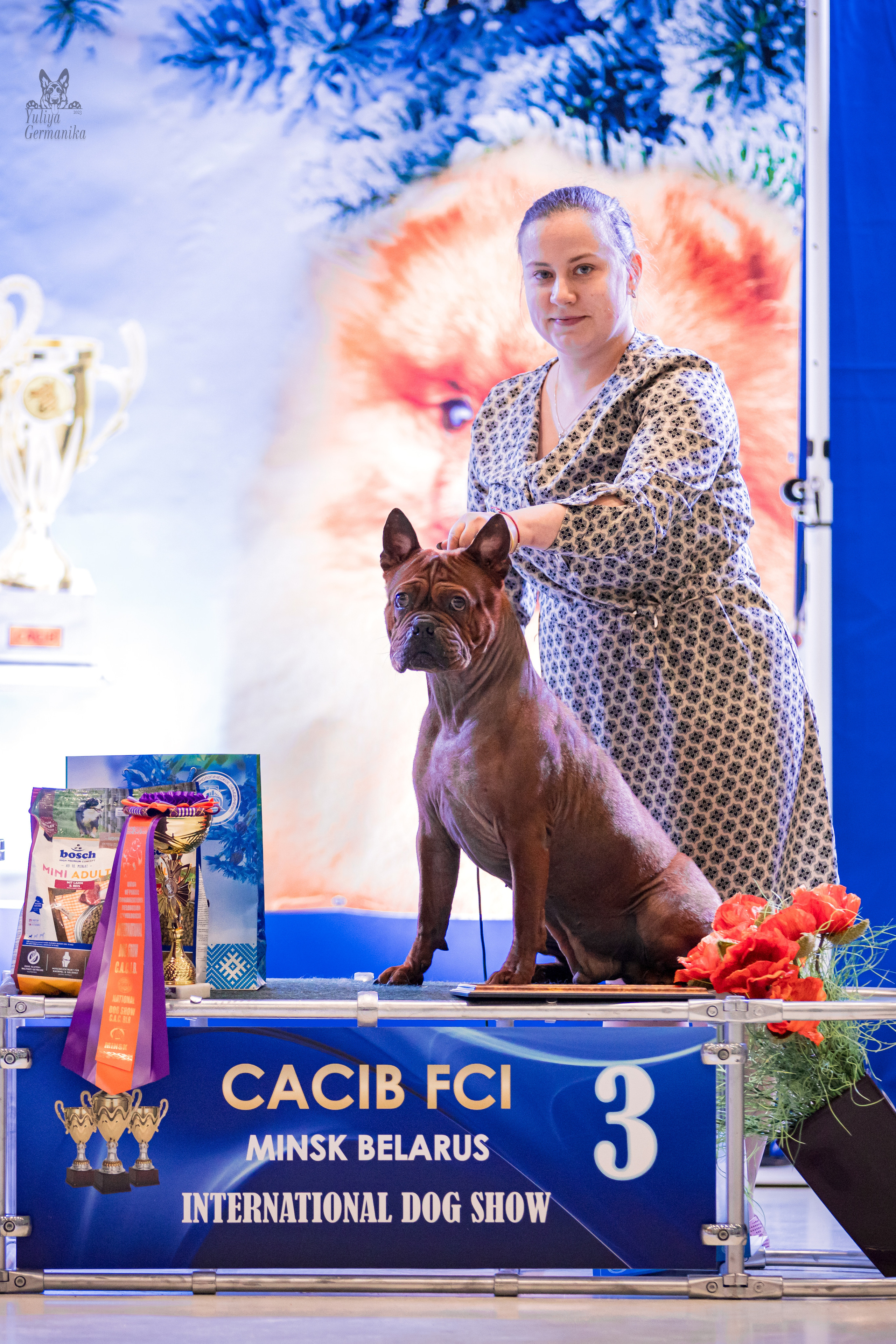 Минск 25-26.02.2023. Фотограф-анималист Юлия Германика