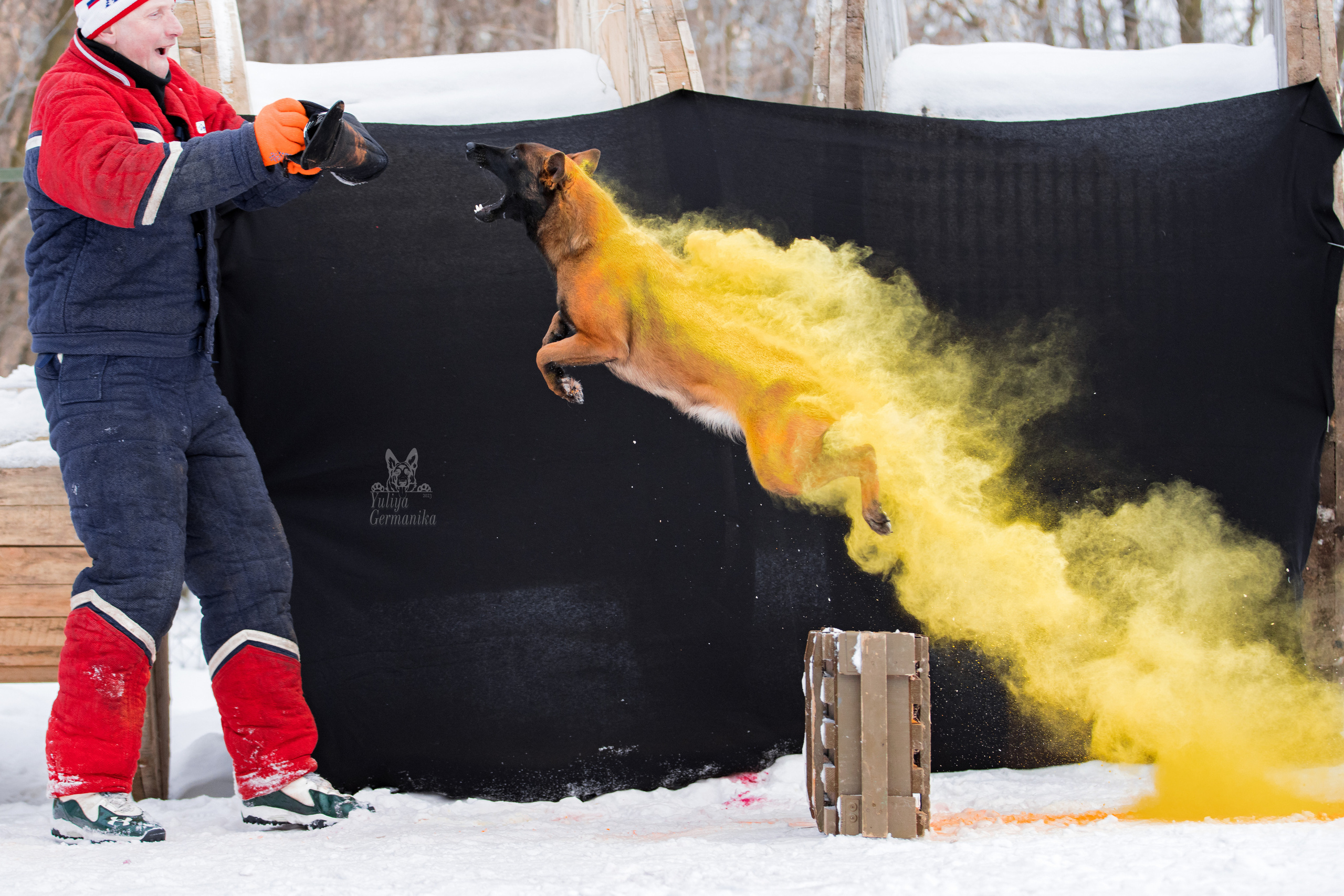 Краски Холли. Фотограф-анималист Юлия Германика