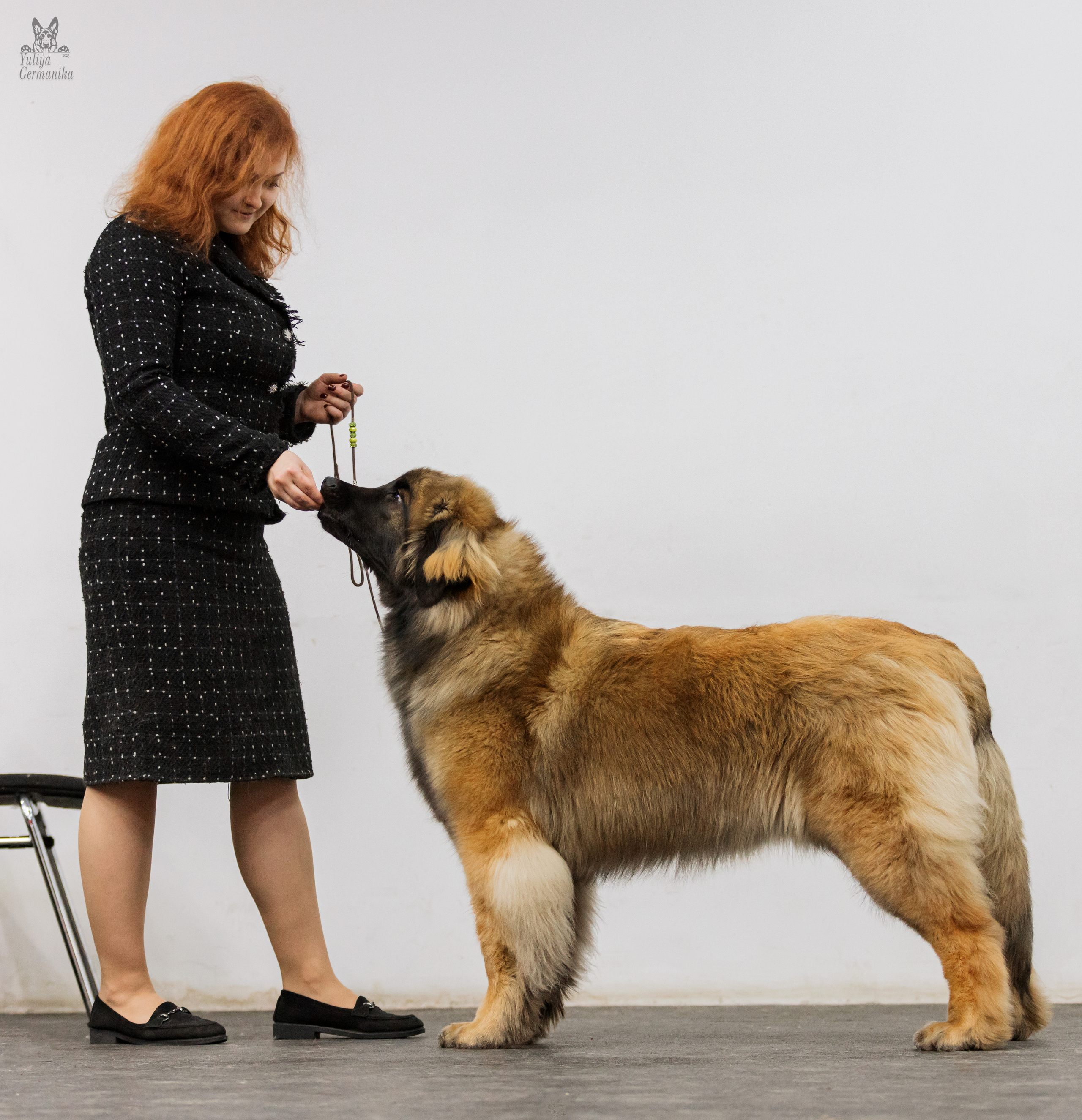 Чайна-Таун 4-5.02.2023. Фотограф-анималист Юлия Германика