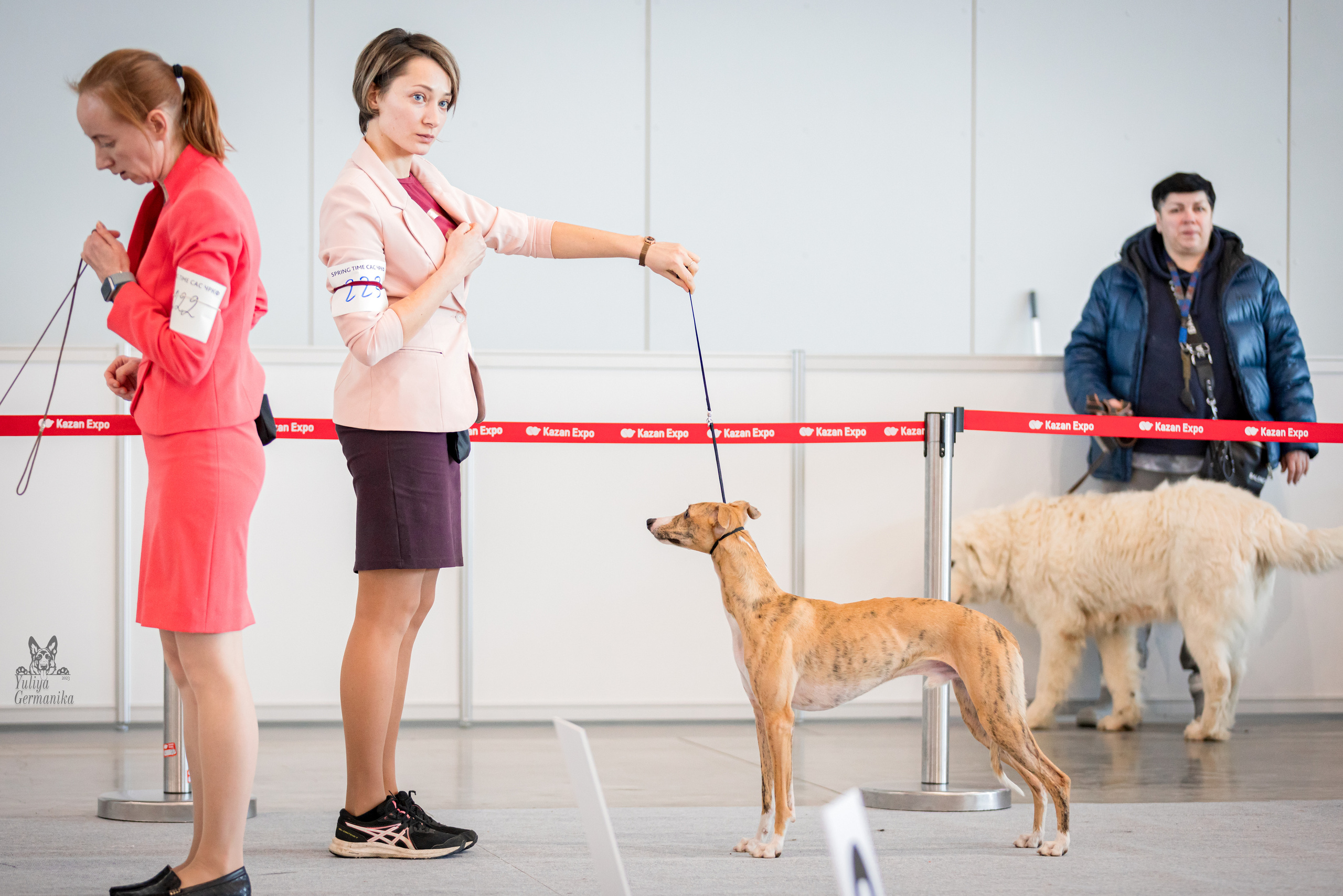 Казань 11.03.2023. Фотограф-анималист Юлия Германика