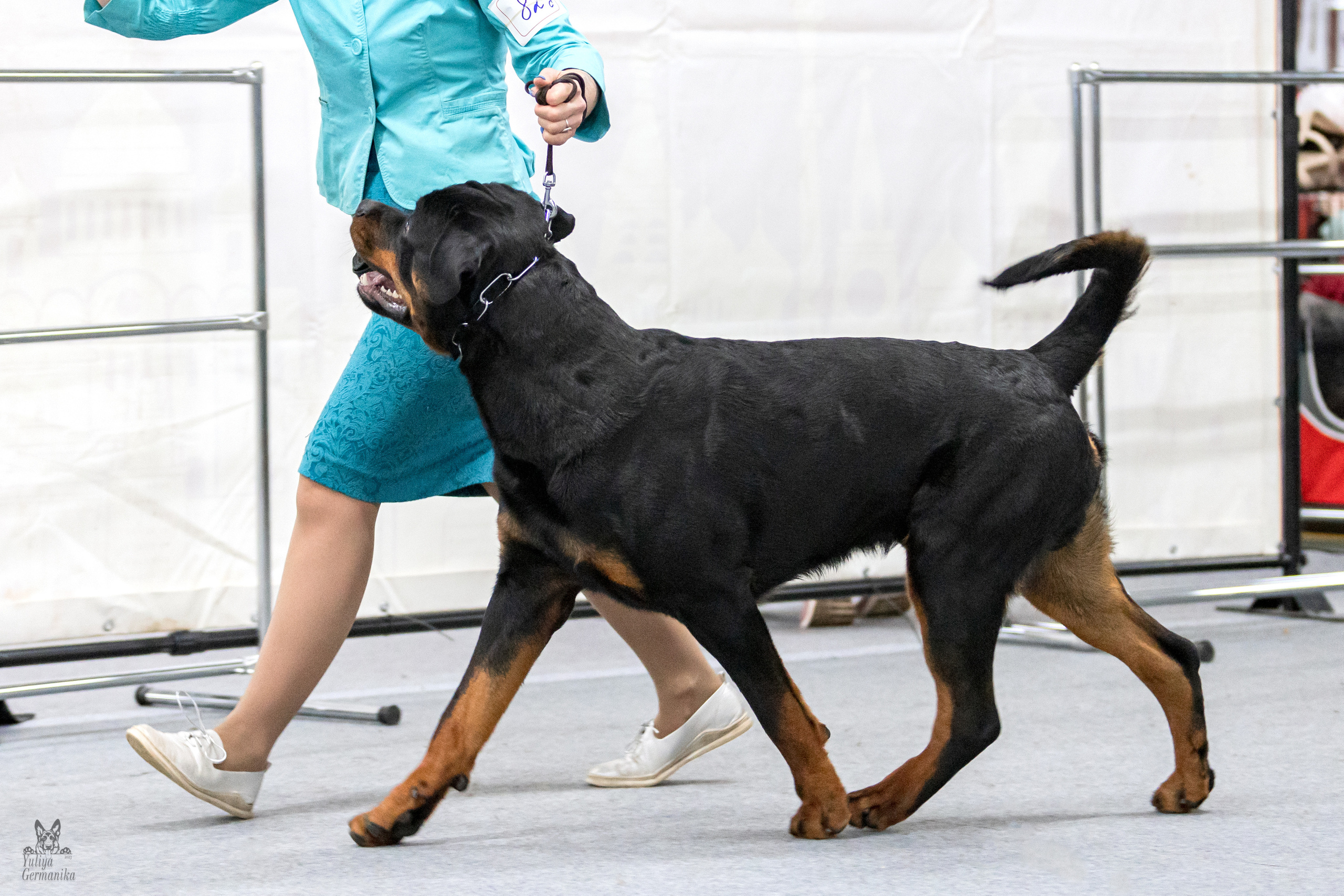 Сфера 5.03.2023. Фотограф-анималист Юлия Германика