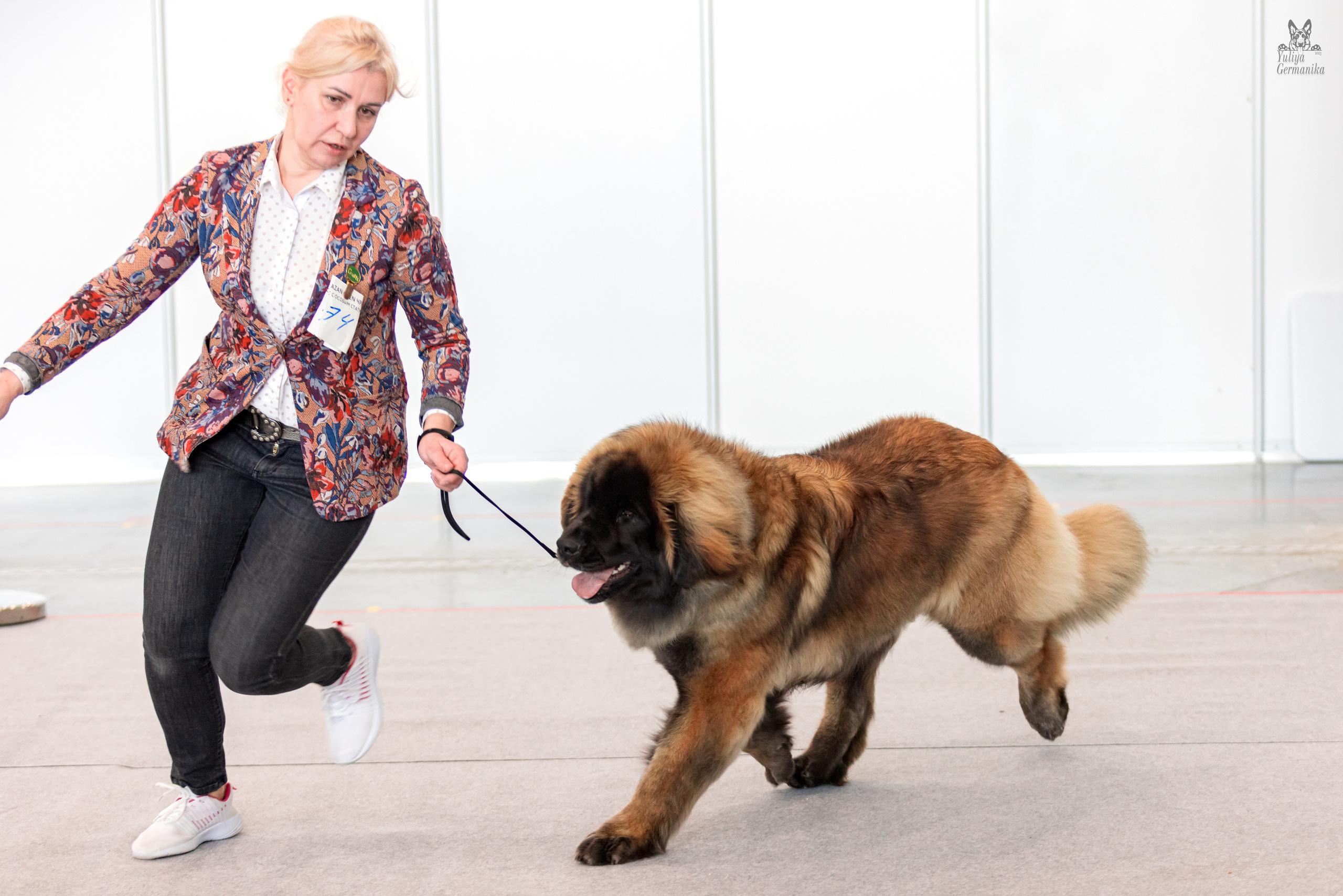 Казань 11.03.2023. Фотограф-анималист Юлия Германика