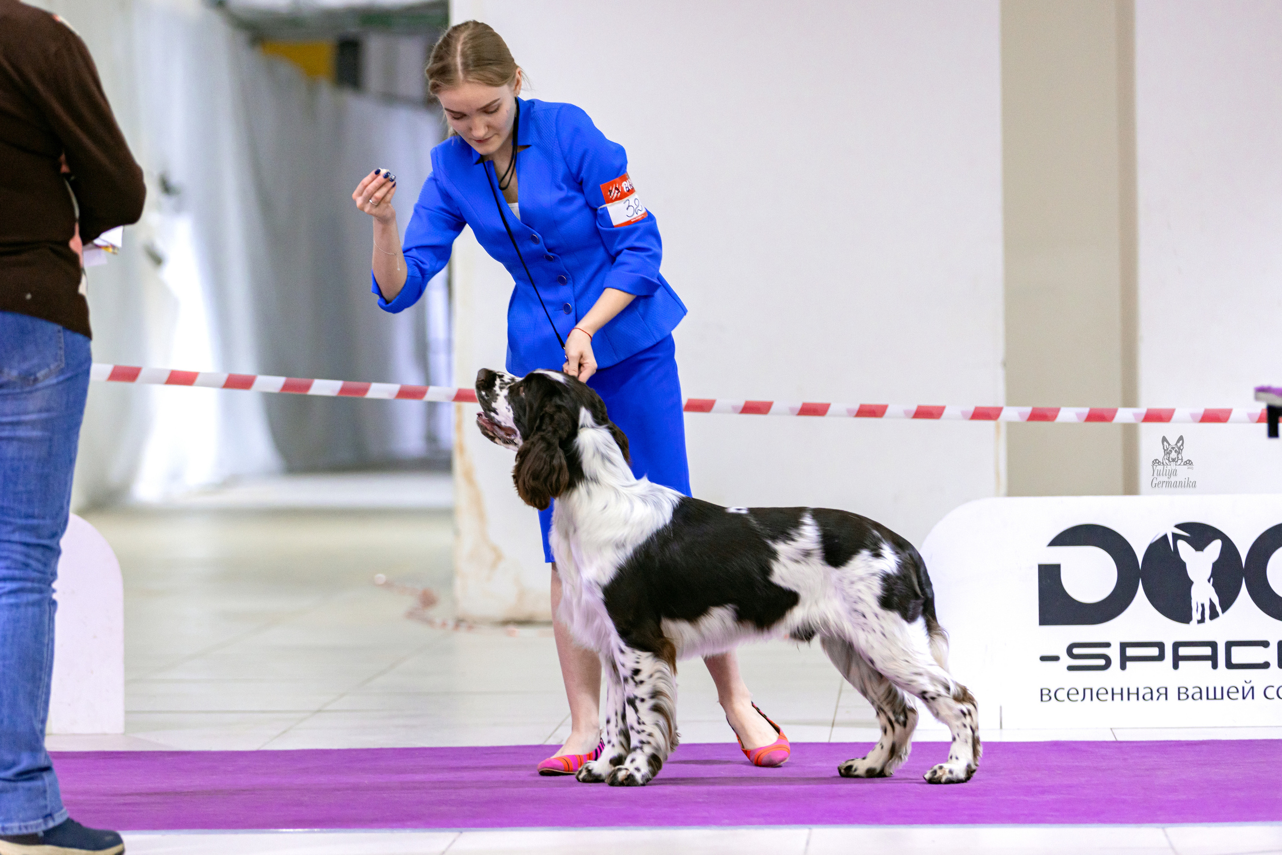 Чайна-Таун 15,21 и 22.01.2023. Фотограф-анималист Юлия Германика