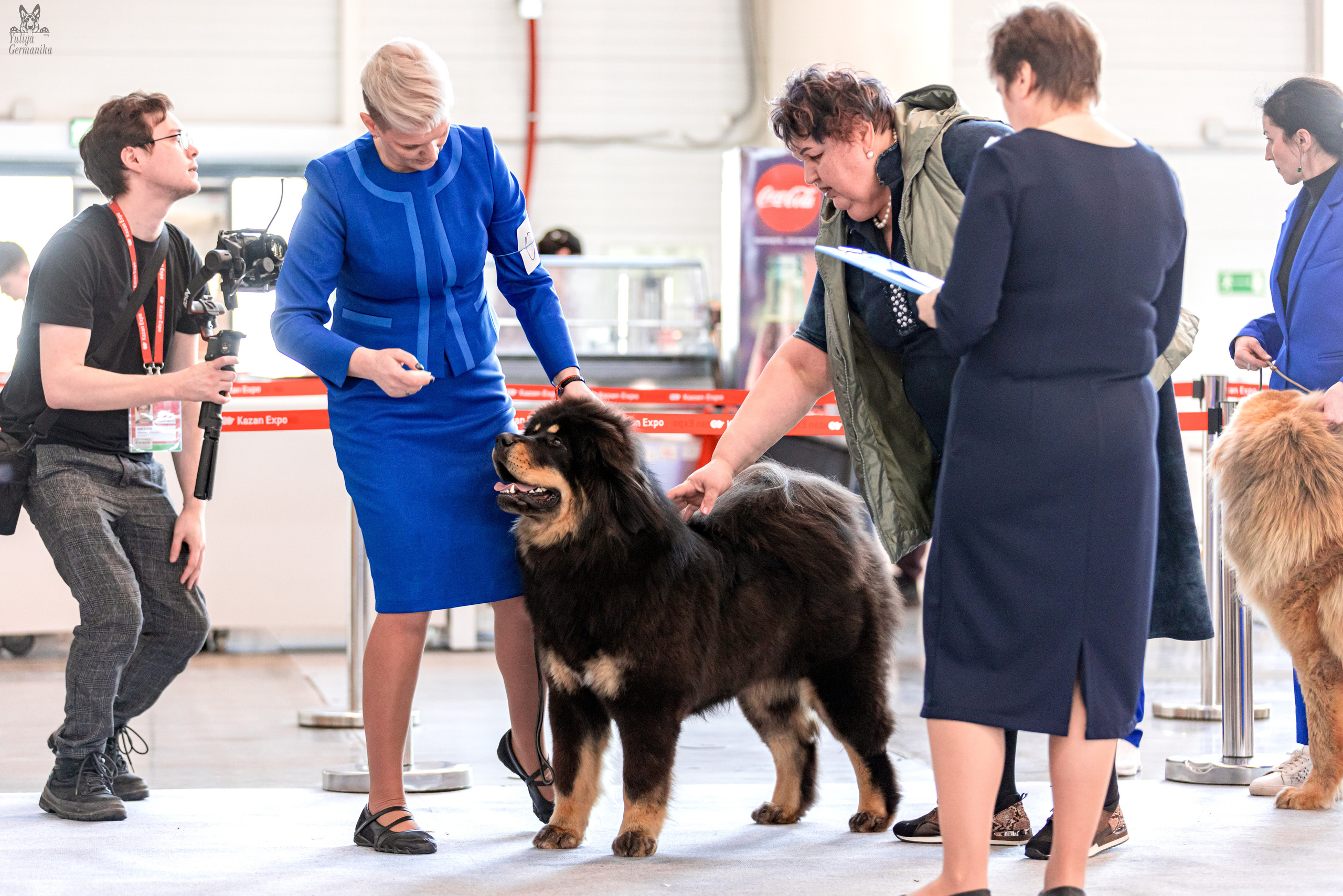 Казань 11.03.2023. Фотограф-анималист Юлия Германика