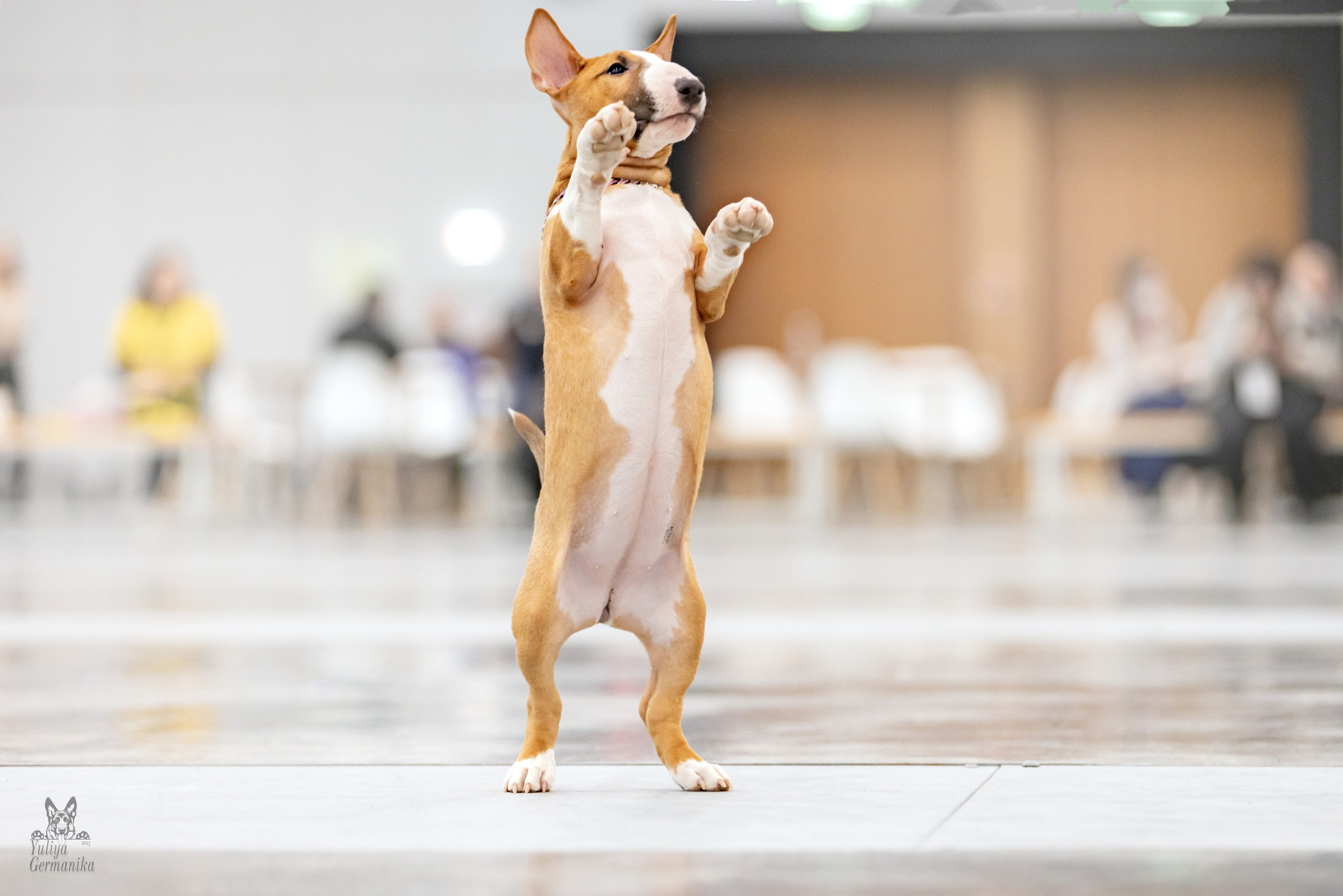 Сабанеевка,Казань 28-29.01.2023. Фотограф-анималист Юлия Германика