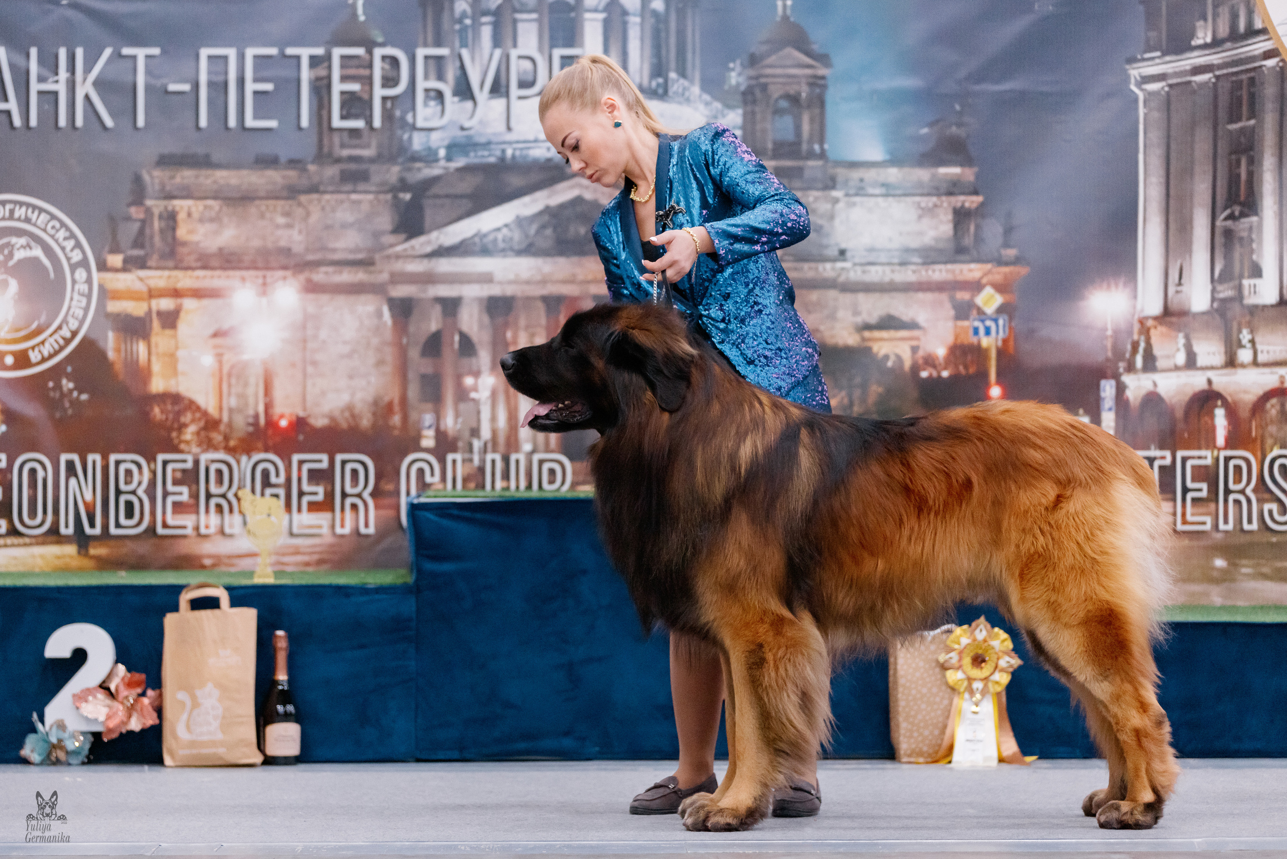 Питер 17-18.12.2022. Фотограф-анималист Юлия Германика