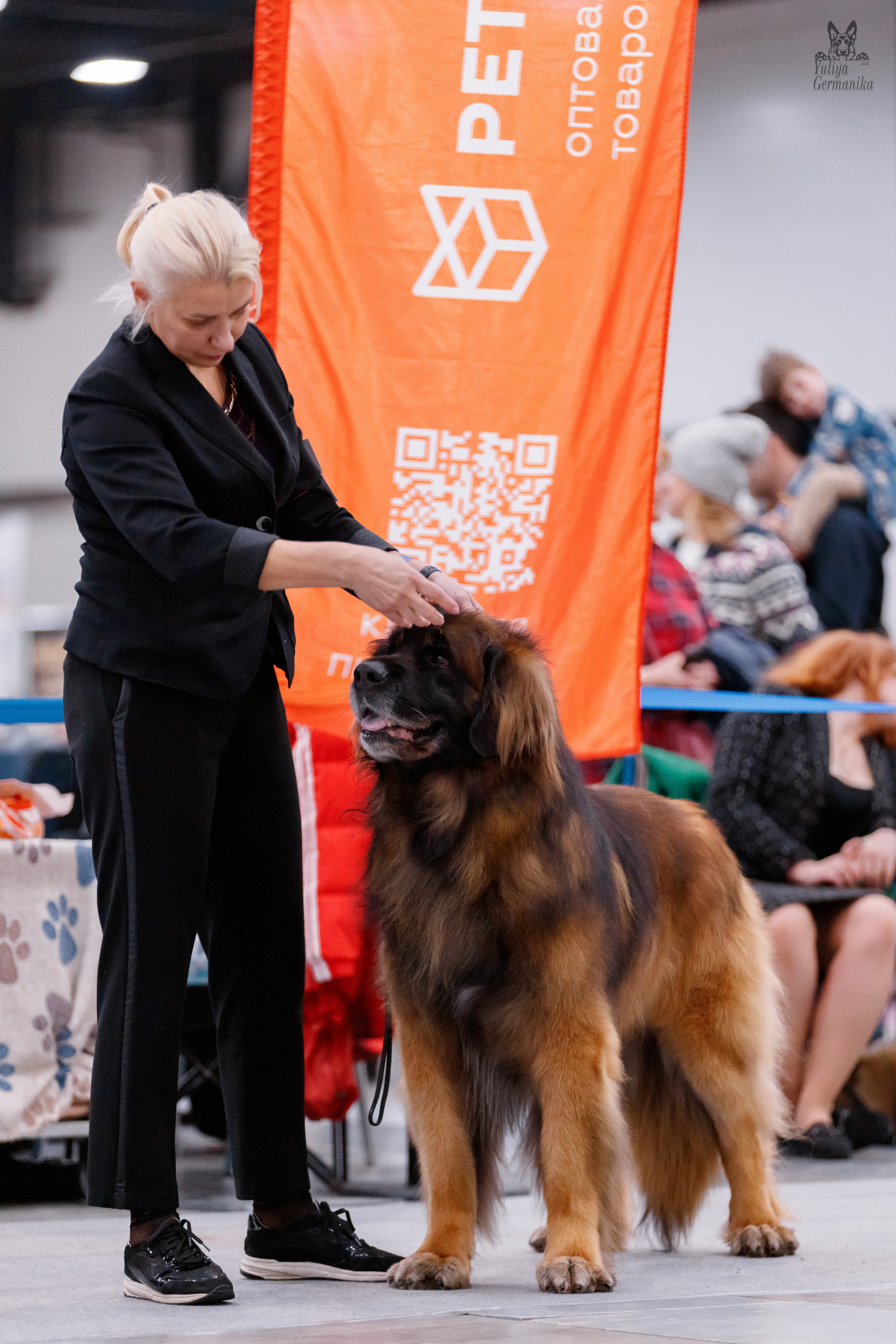 Питер 17-18.12.2022. Фотограф-анималист Юлия Германика