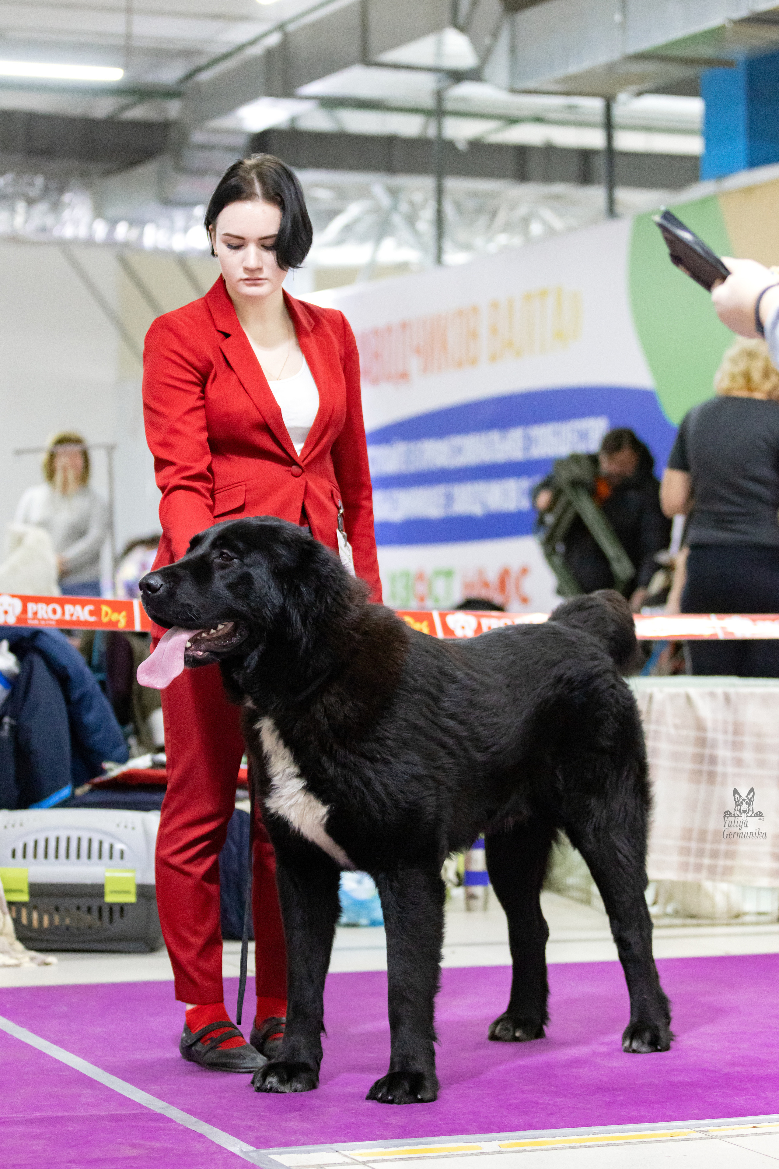 Чайна-Таун 4-5.02.2023. Фотограф-анималист Юлия Германика