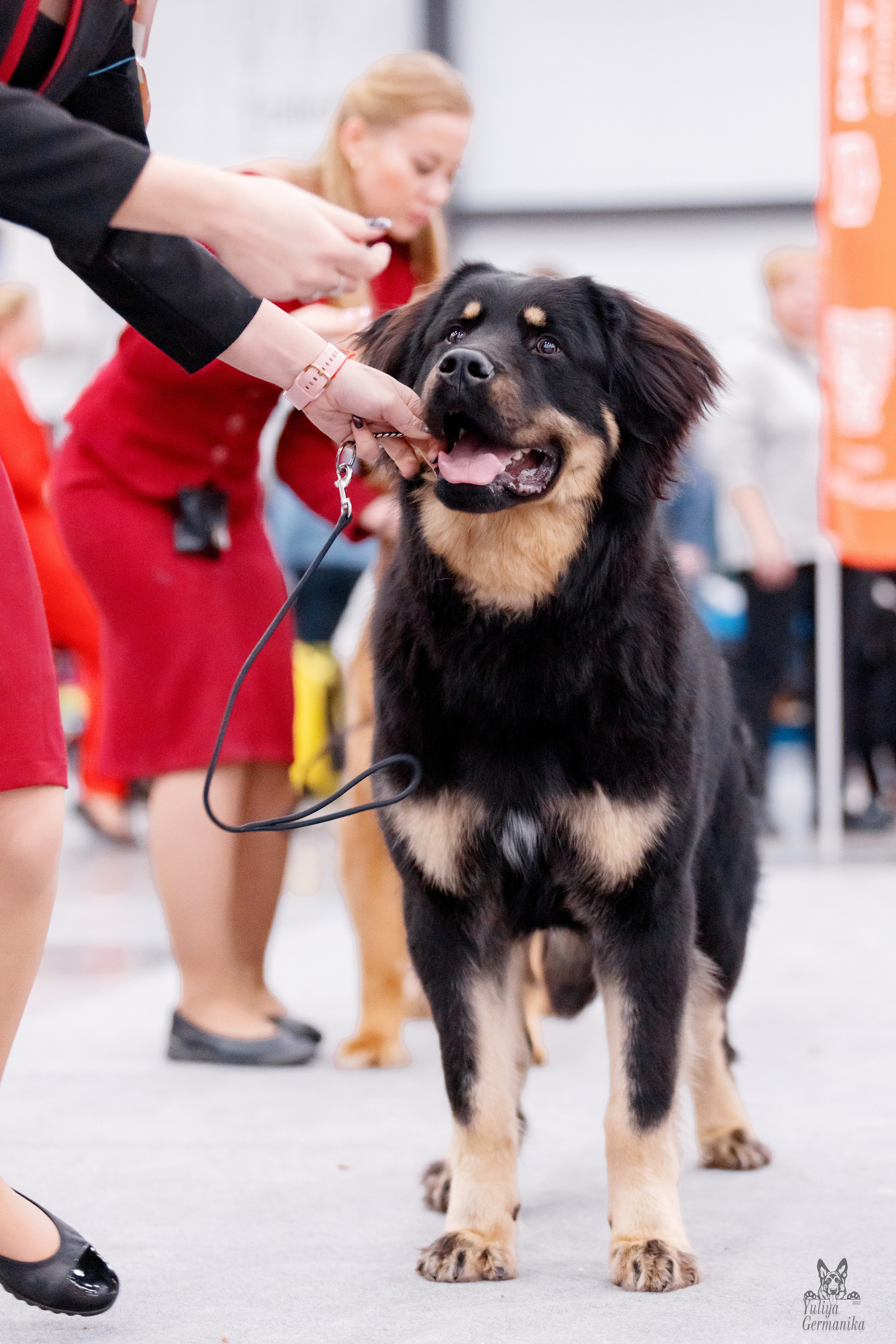 Питер 17-18.12.2022. Фотограф-анималист Юлия Германика