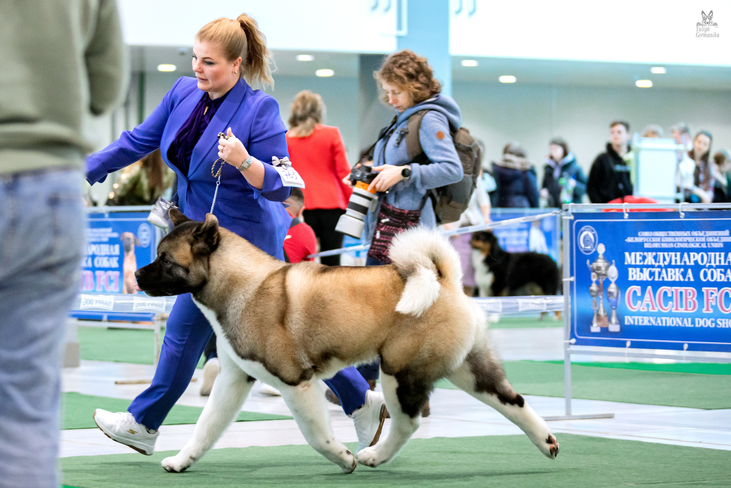 Минск 25-26.02.2023. Фотограф-анималист Юлия Германика