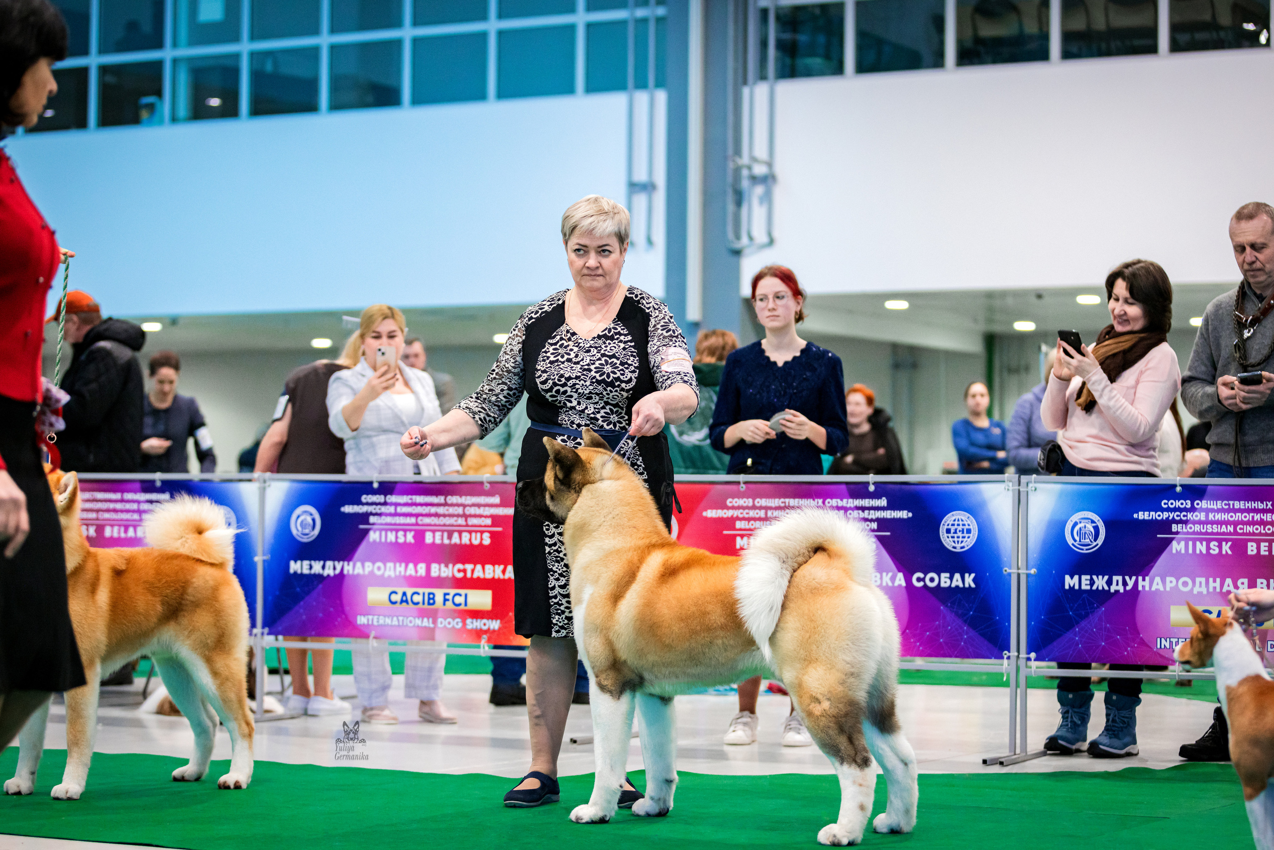 Минск 25-26.02.2023. Фотограф-анималист Юлия Германика