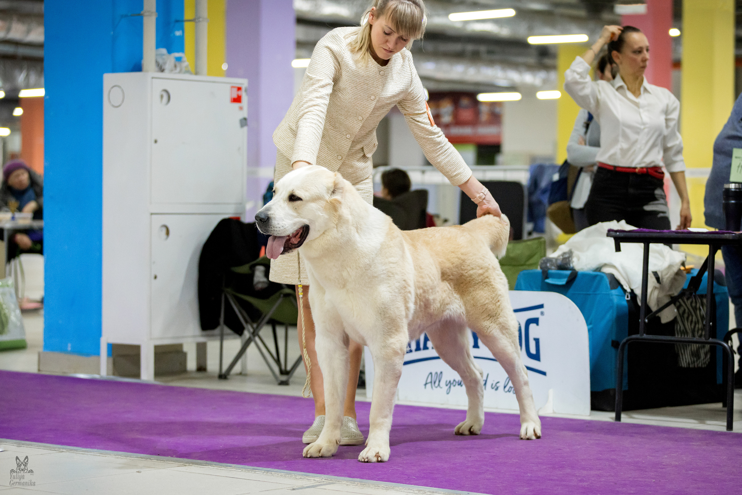 Чайна-Таун 5-8.01.2023. Фотограф-анималист Юлия Германика