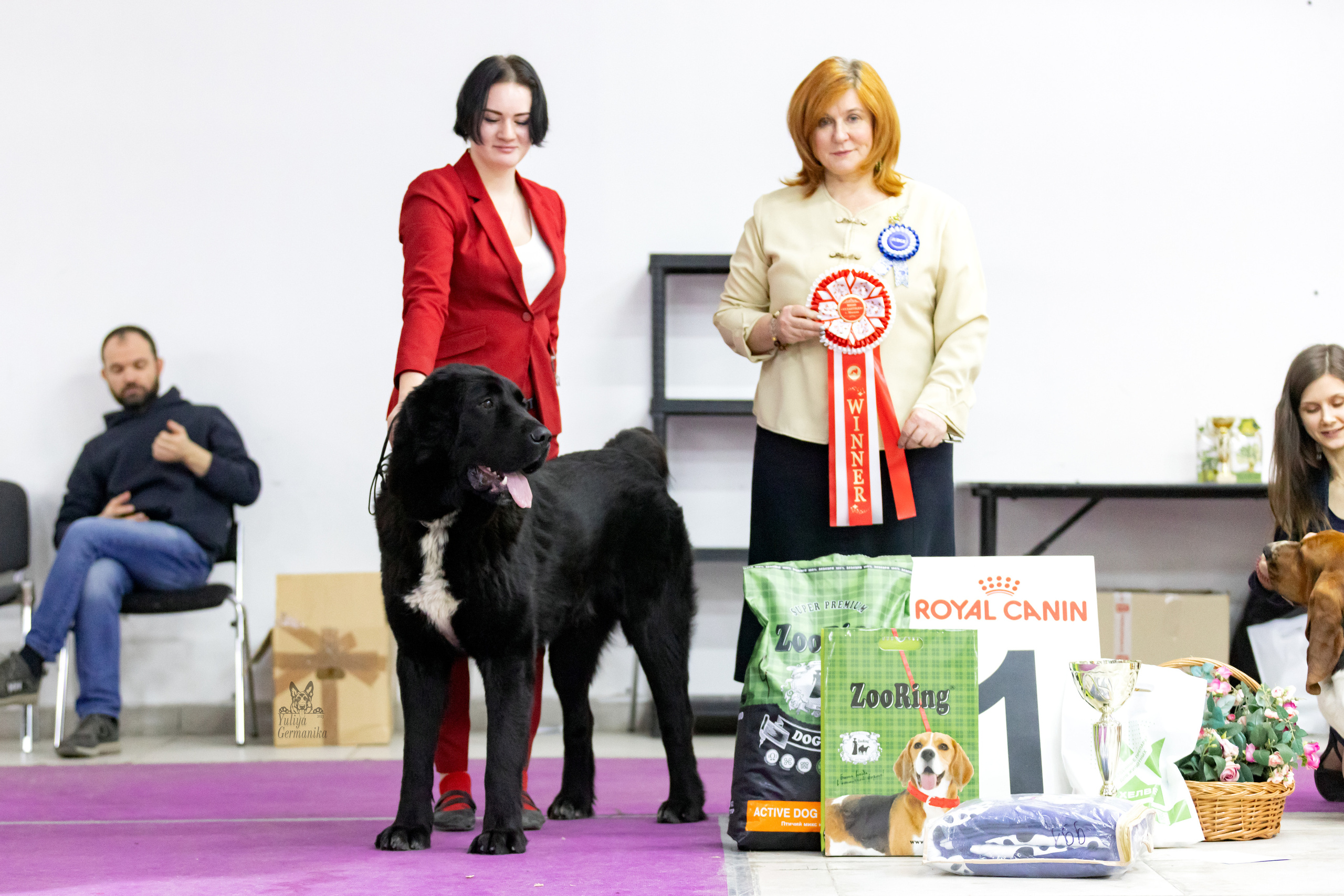 Чайна-Таун 4-5.02.2023. Фотограф-анималист Юлия Германика