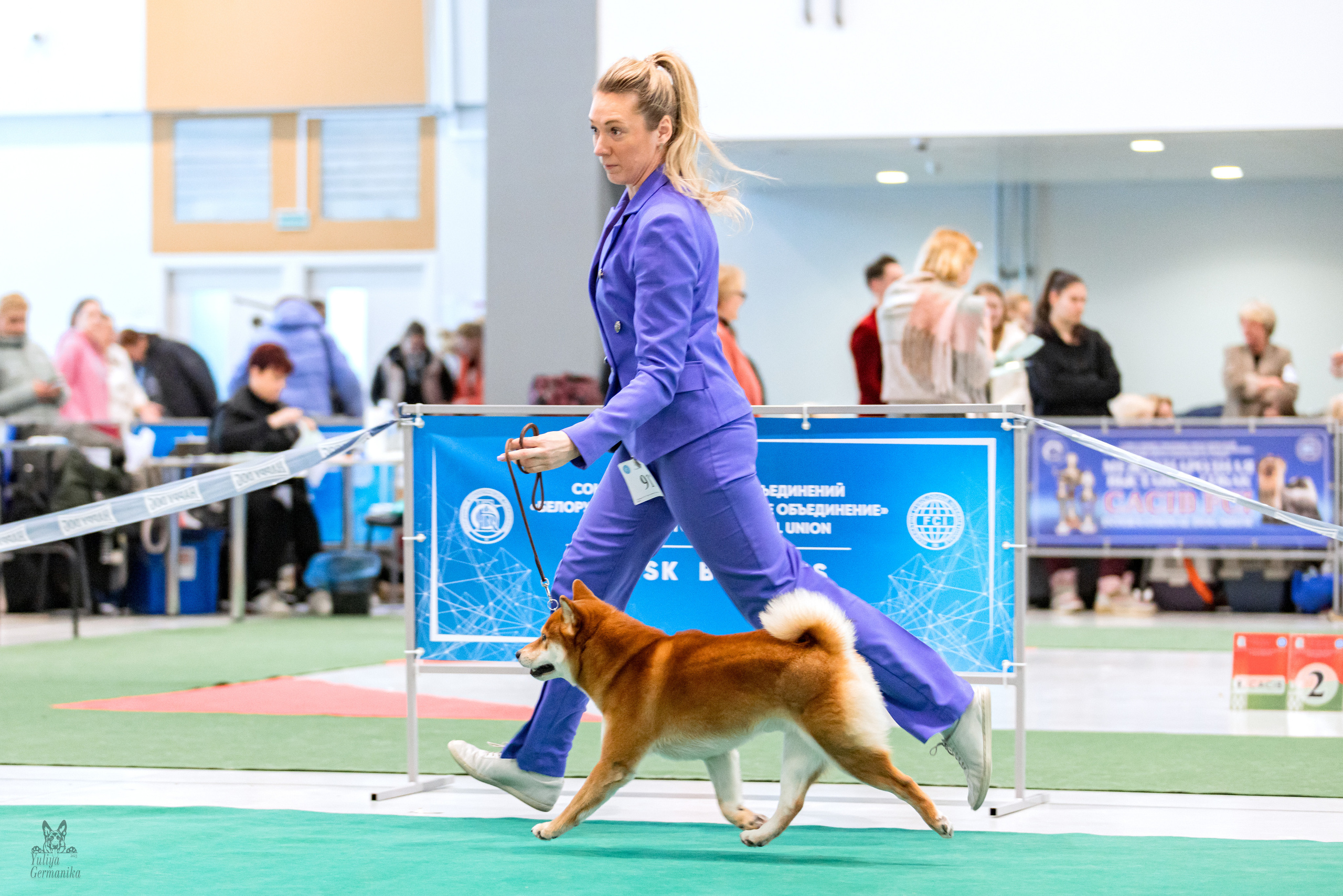 Минск 25-26.02.2023. Фотограф-анималист Юлия Германика