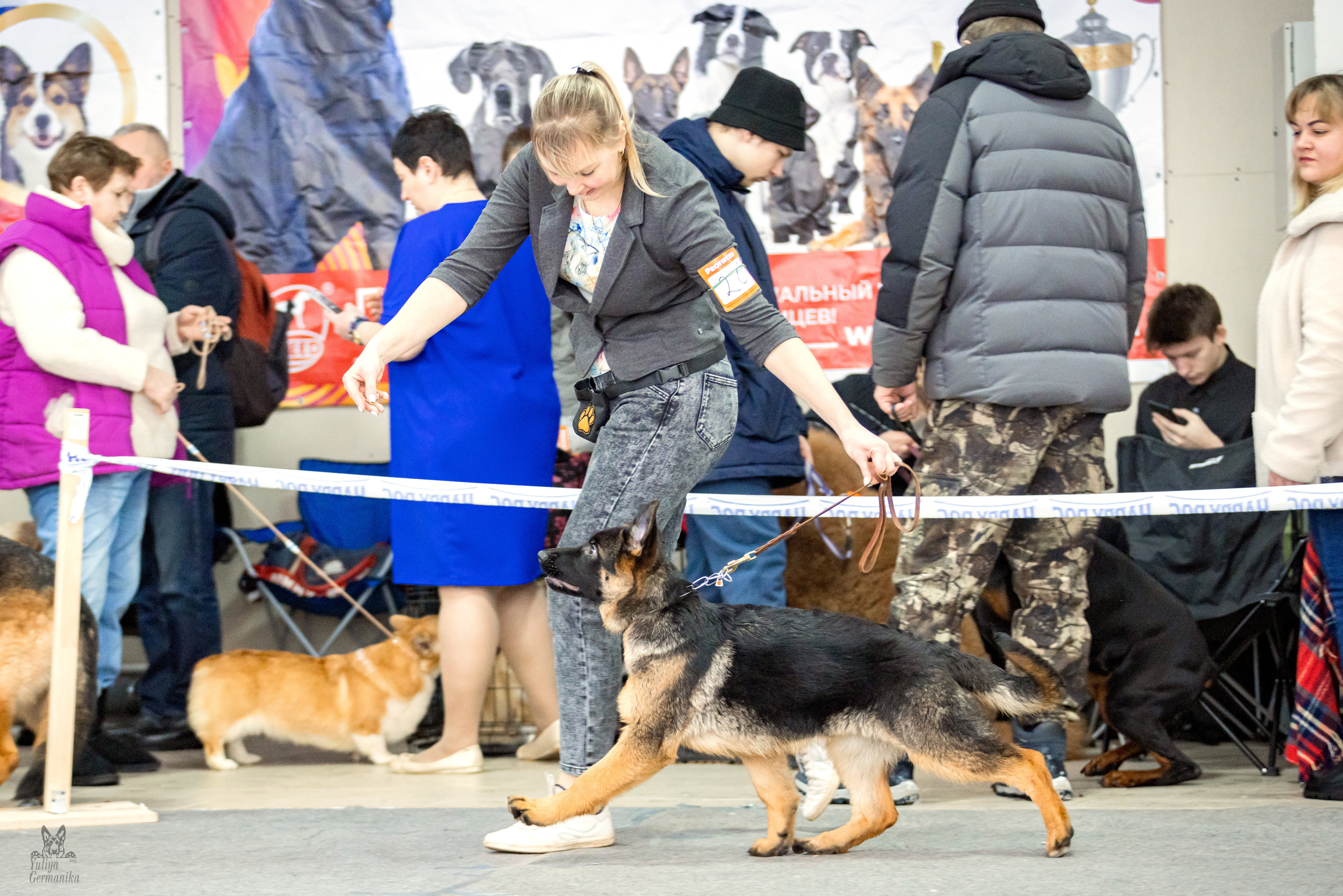 Тверь 19.02.2023. Фотограф-анималист Юлия Германика