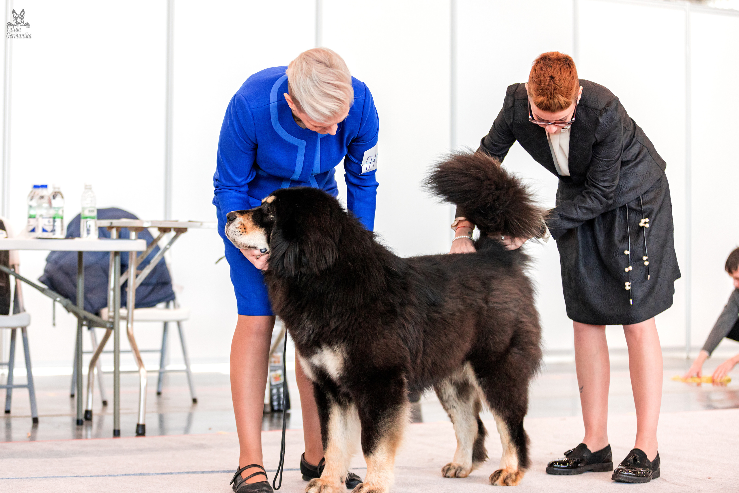 Казань 11.03.2023. Фотограф-анималист Юлия Германика